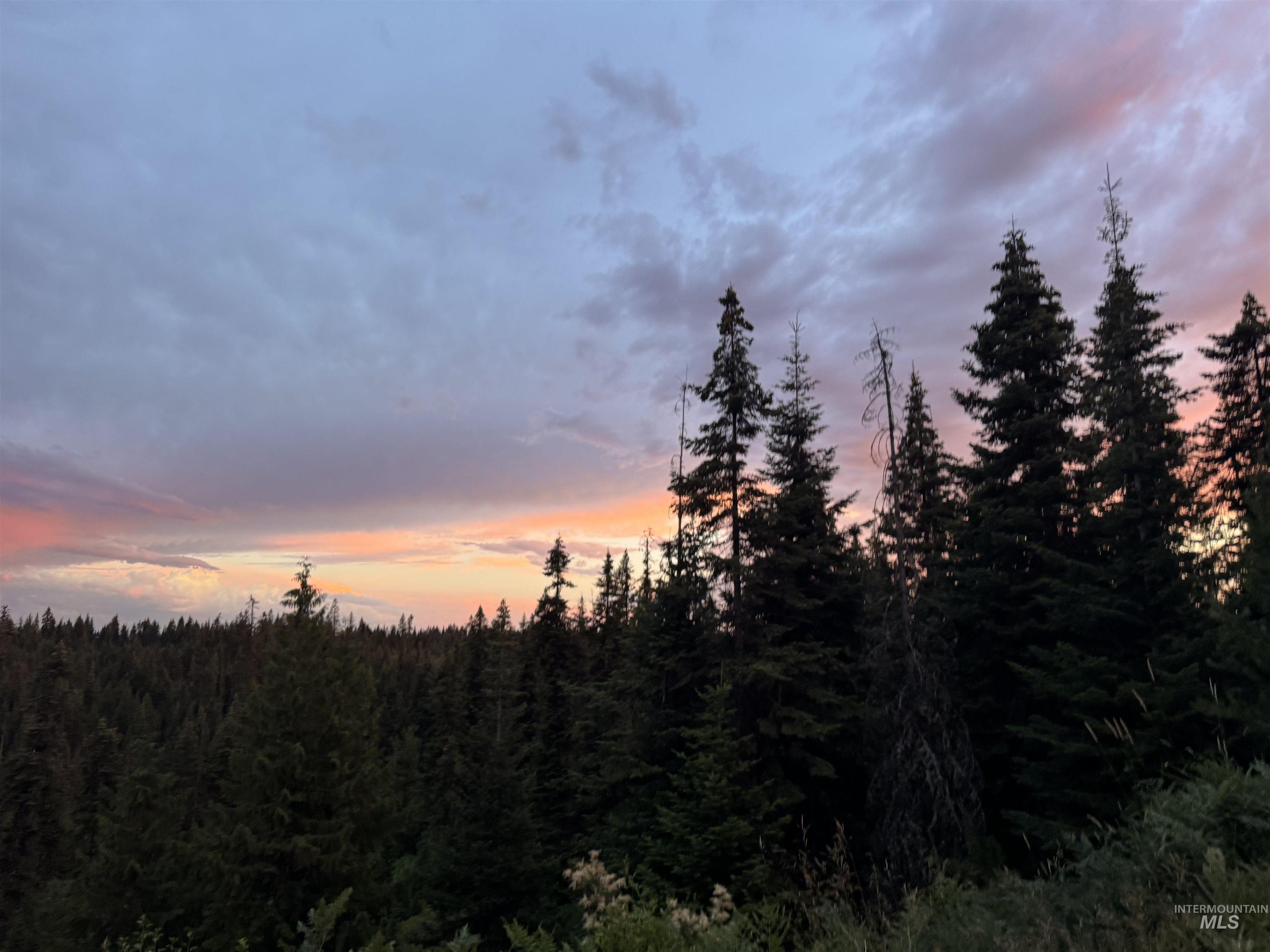 Tbd Highway 11 Property Photo 12