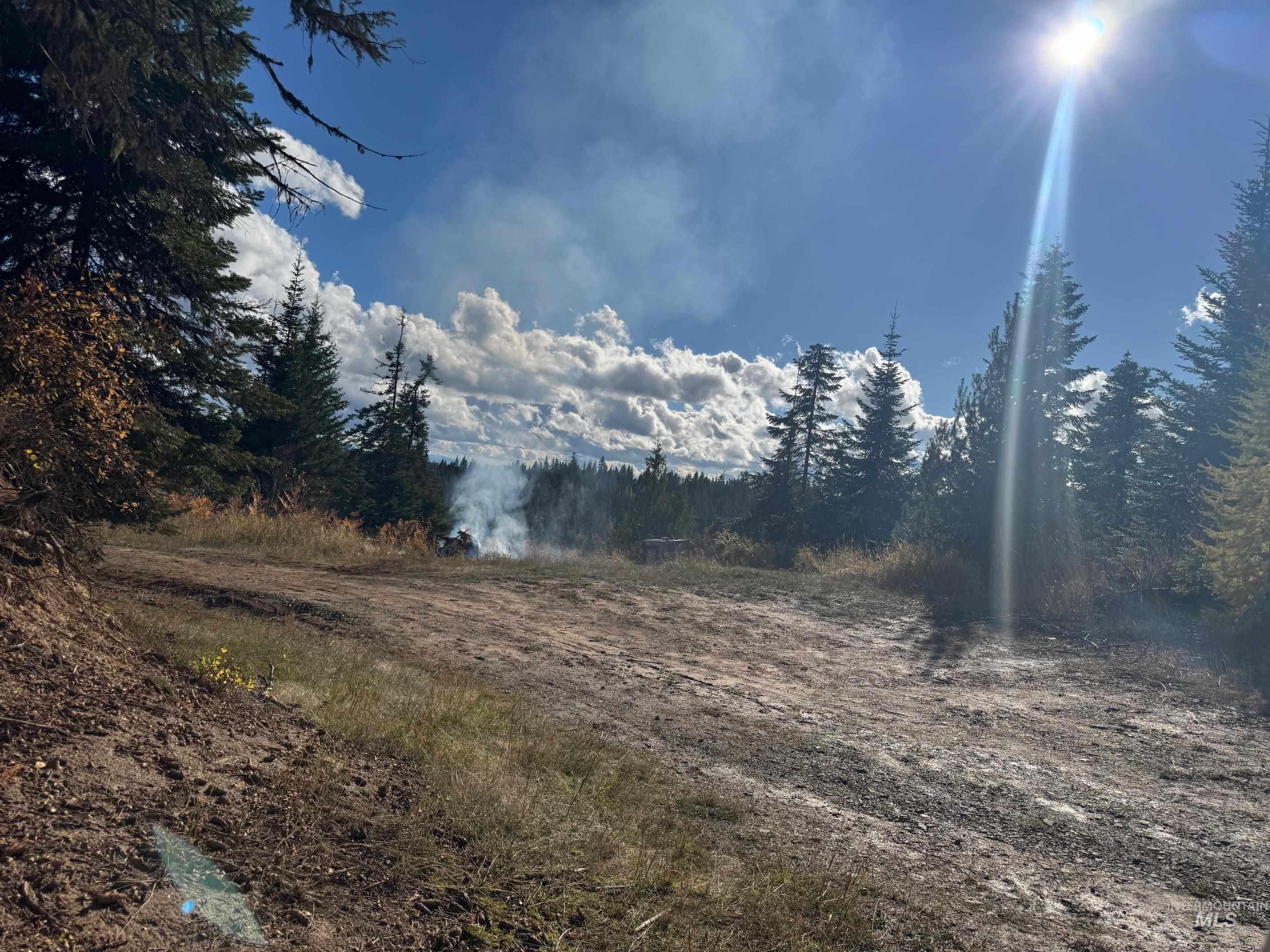 Tbd Highway 11 Property Photo 14