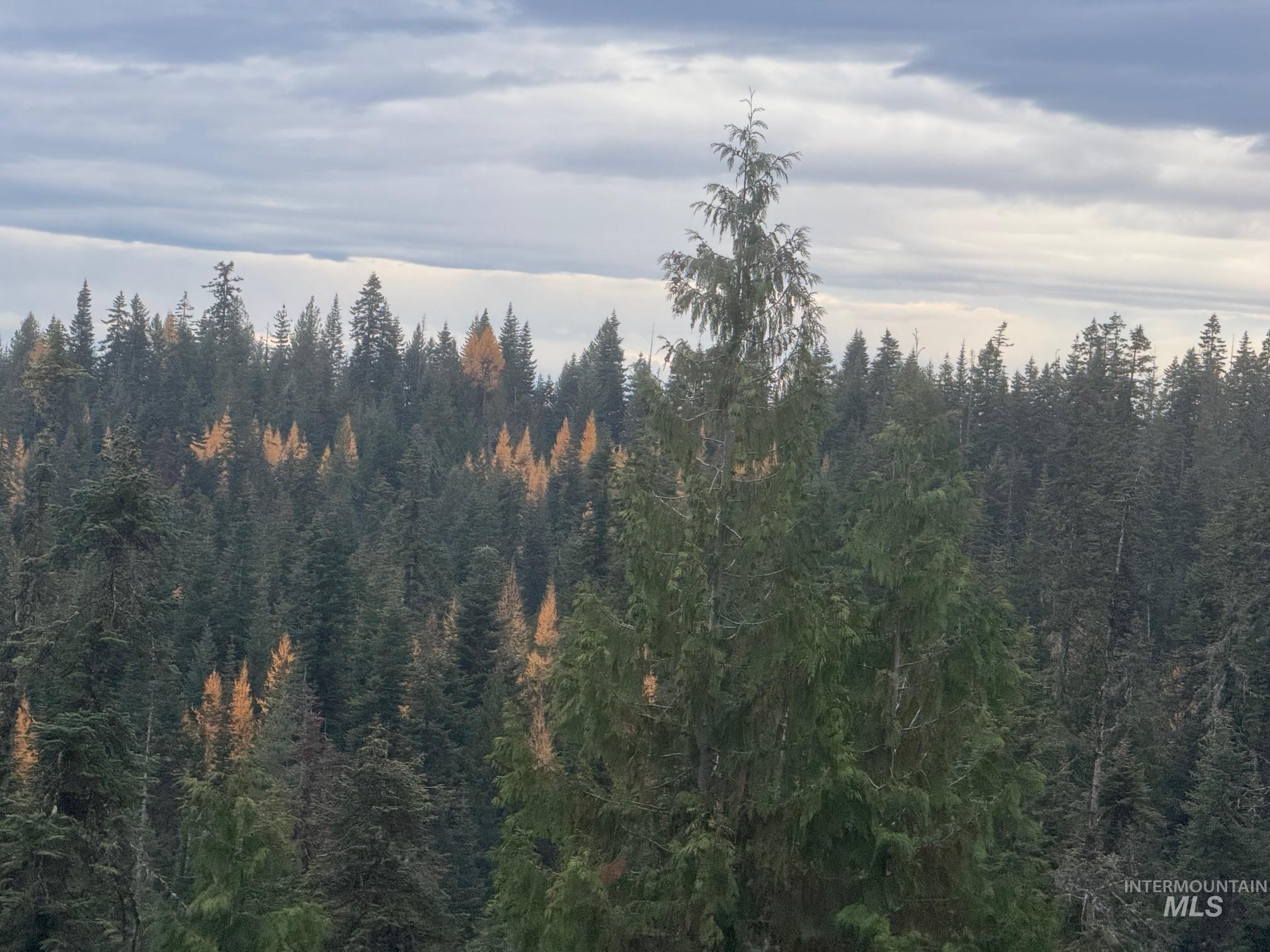 Tbd Highway 11 Property Photo 15