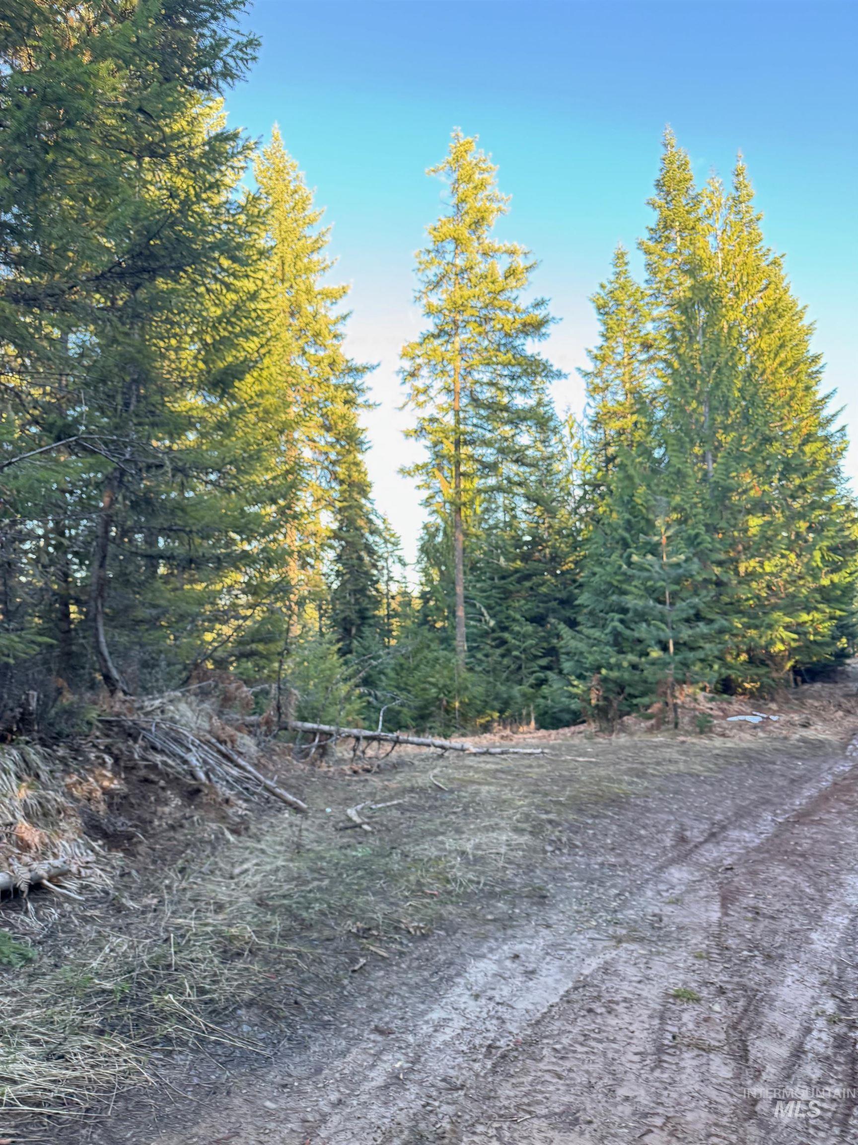 Tbd Highway 11 Property Photo 19