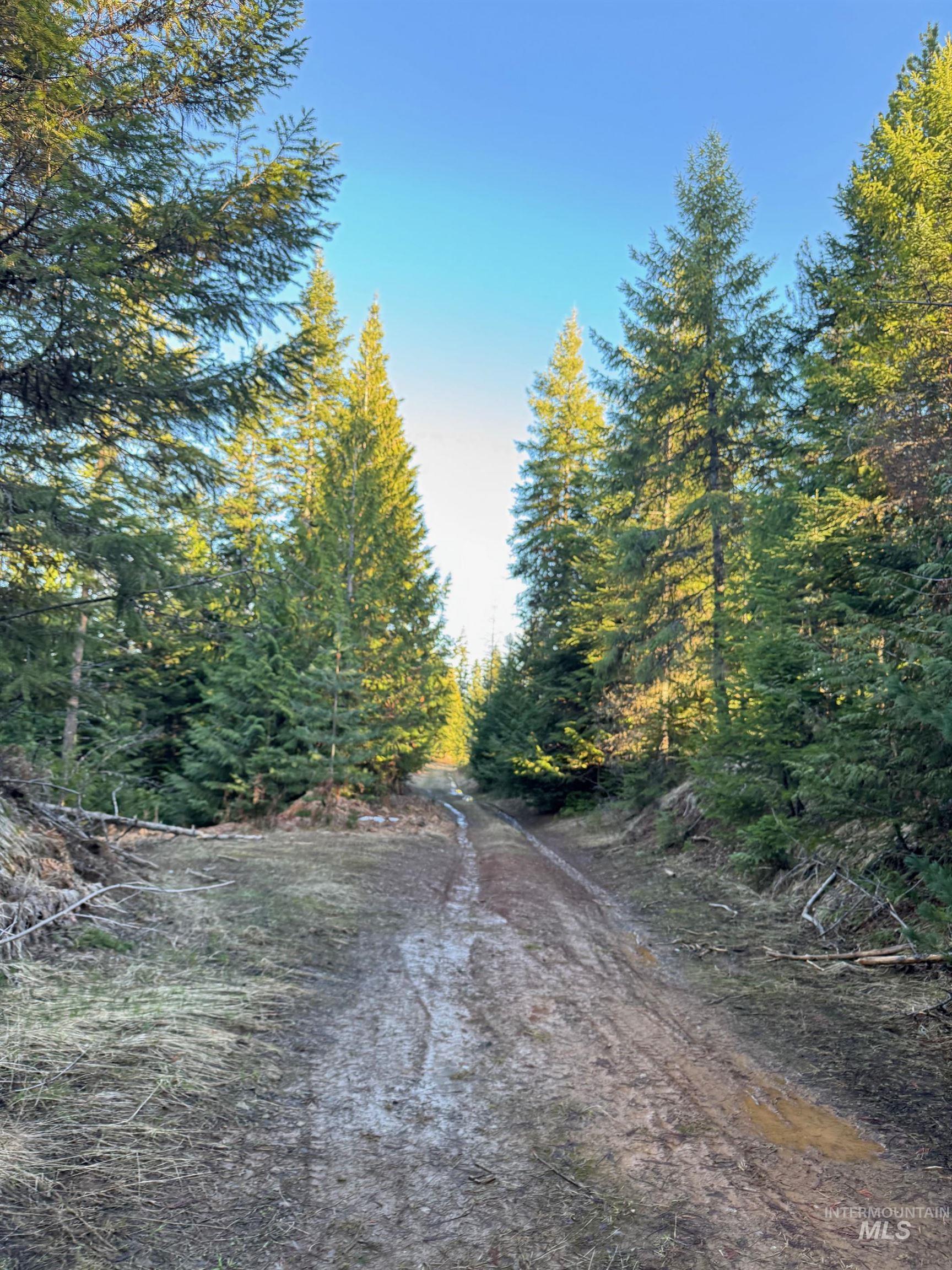 Tbd Highway 11 Property Photo 21