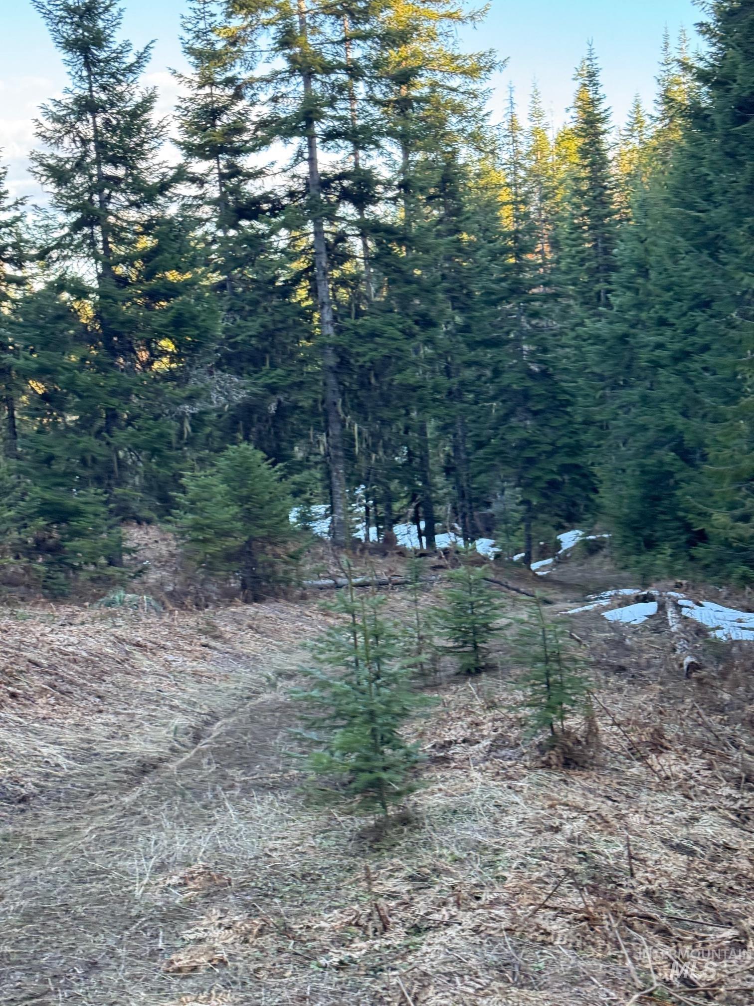 Tbd Highway 11 Property Photo 22