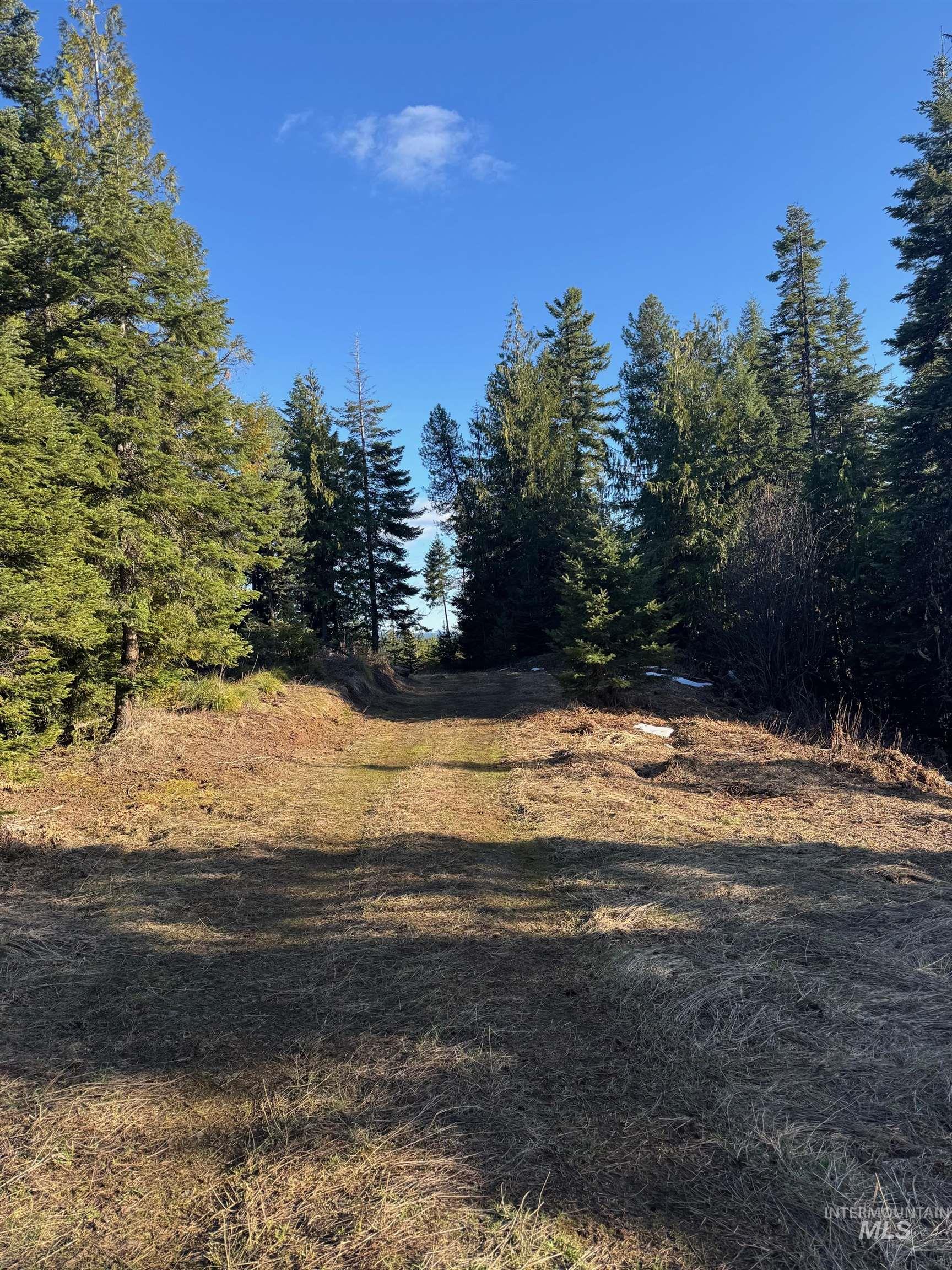 Tbd Highway 11 Property Photo 23