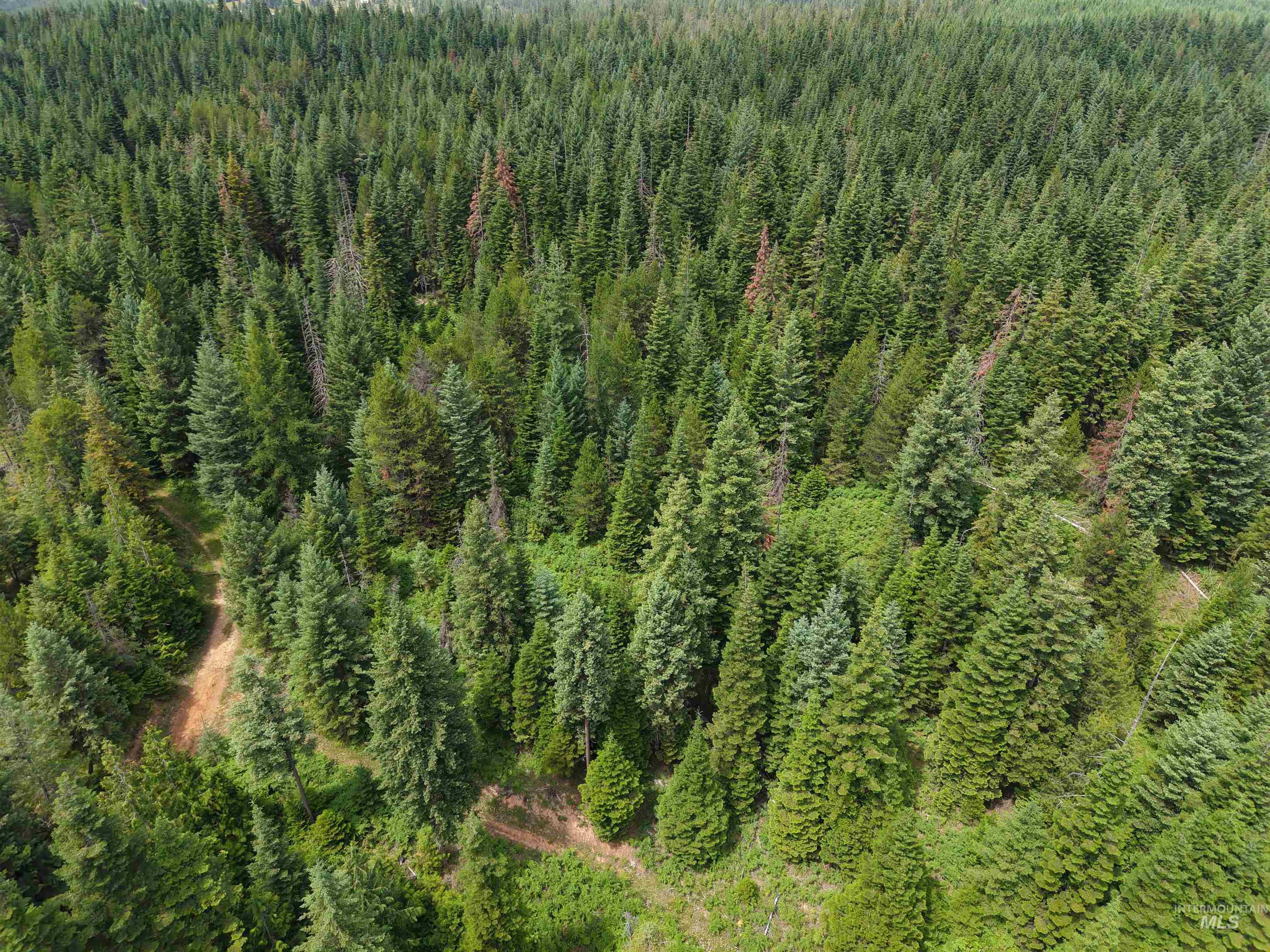 Tbd Highway 11 Property Photo 25