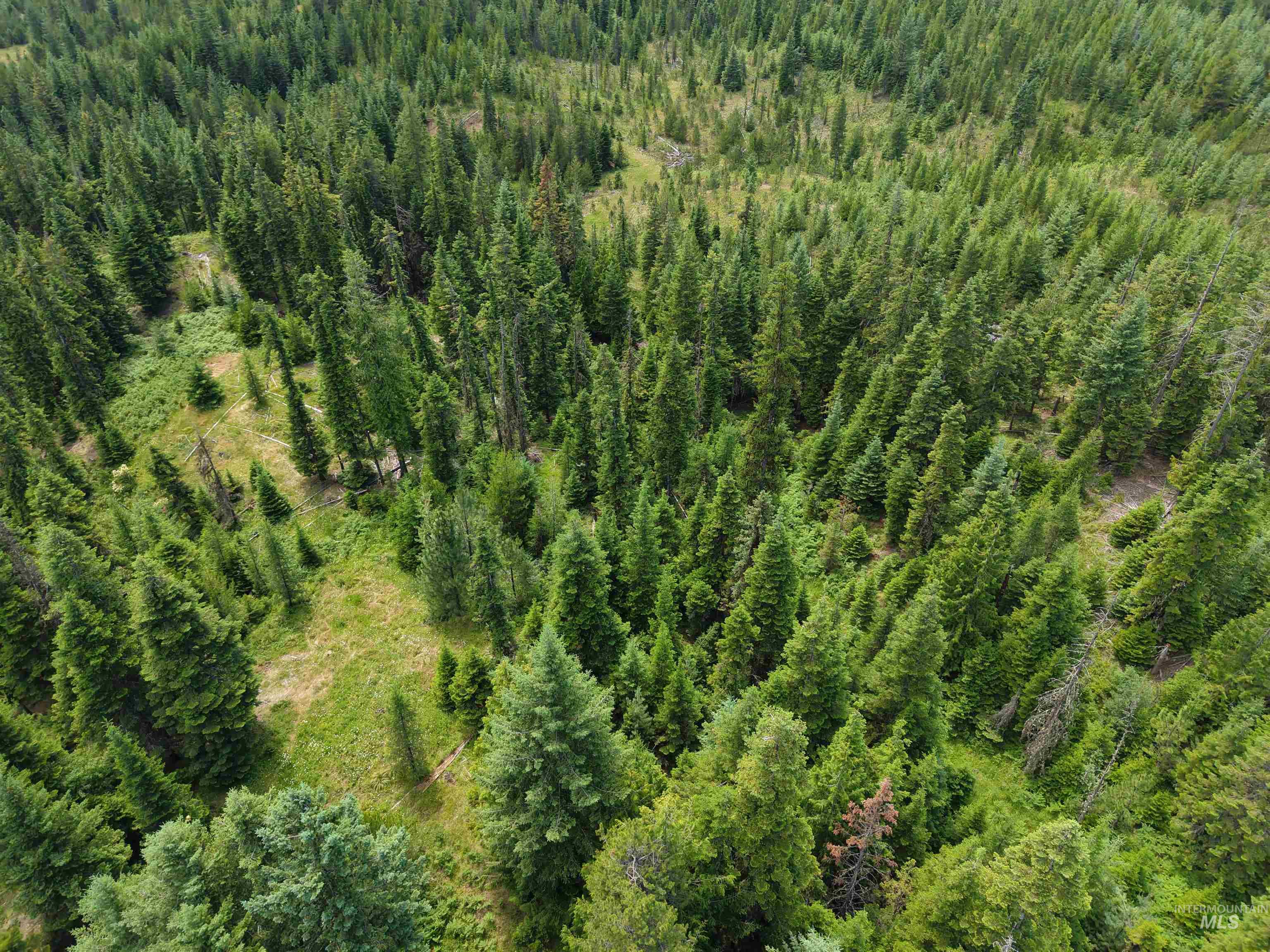 Tbd Highway 11 Property Photo 28