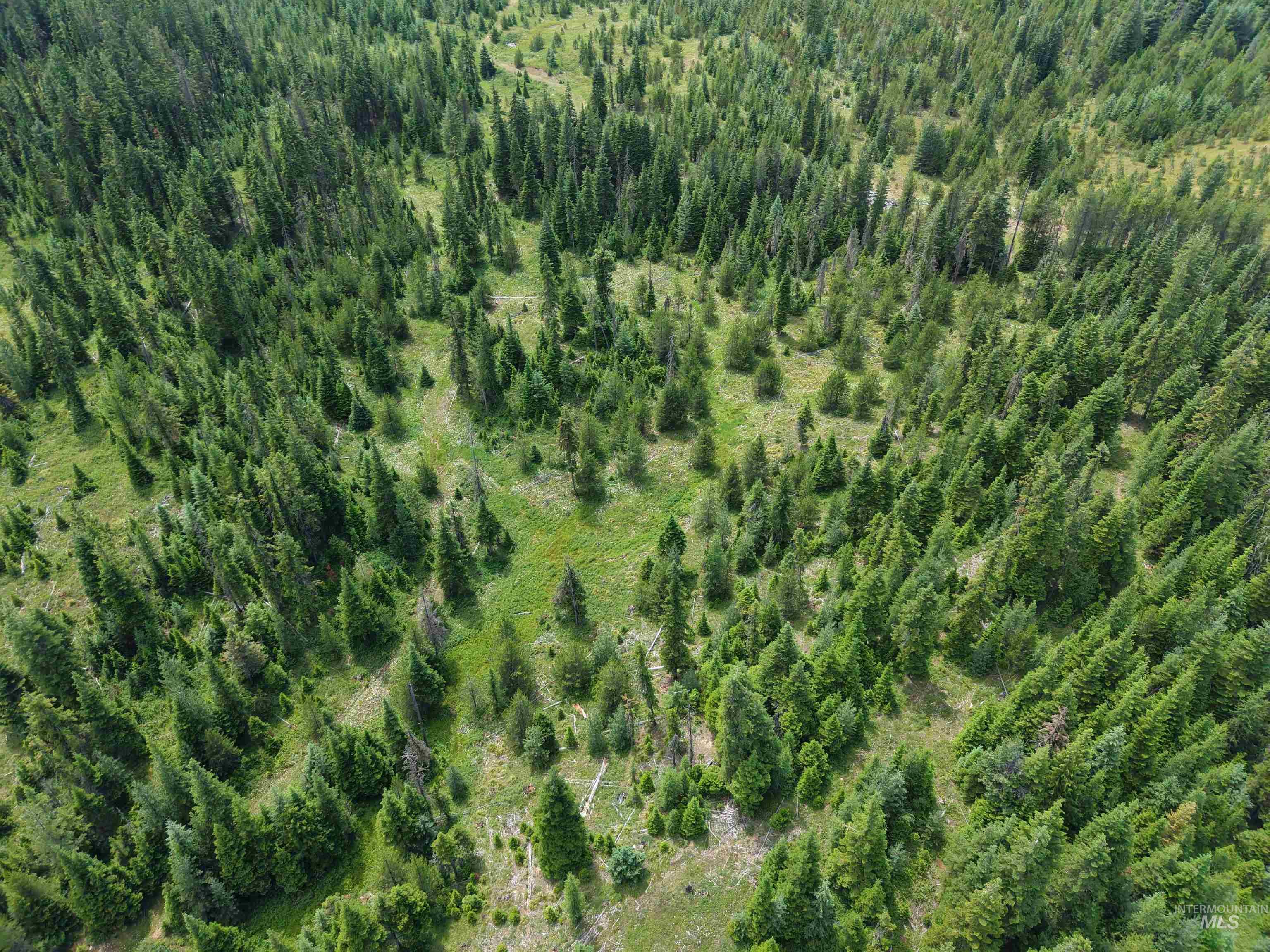 Tbd Highway 11 Property Photo 30