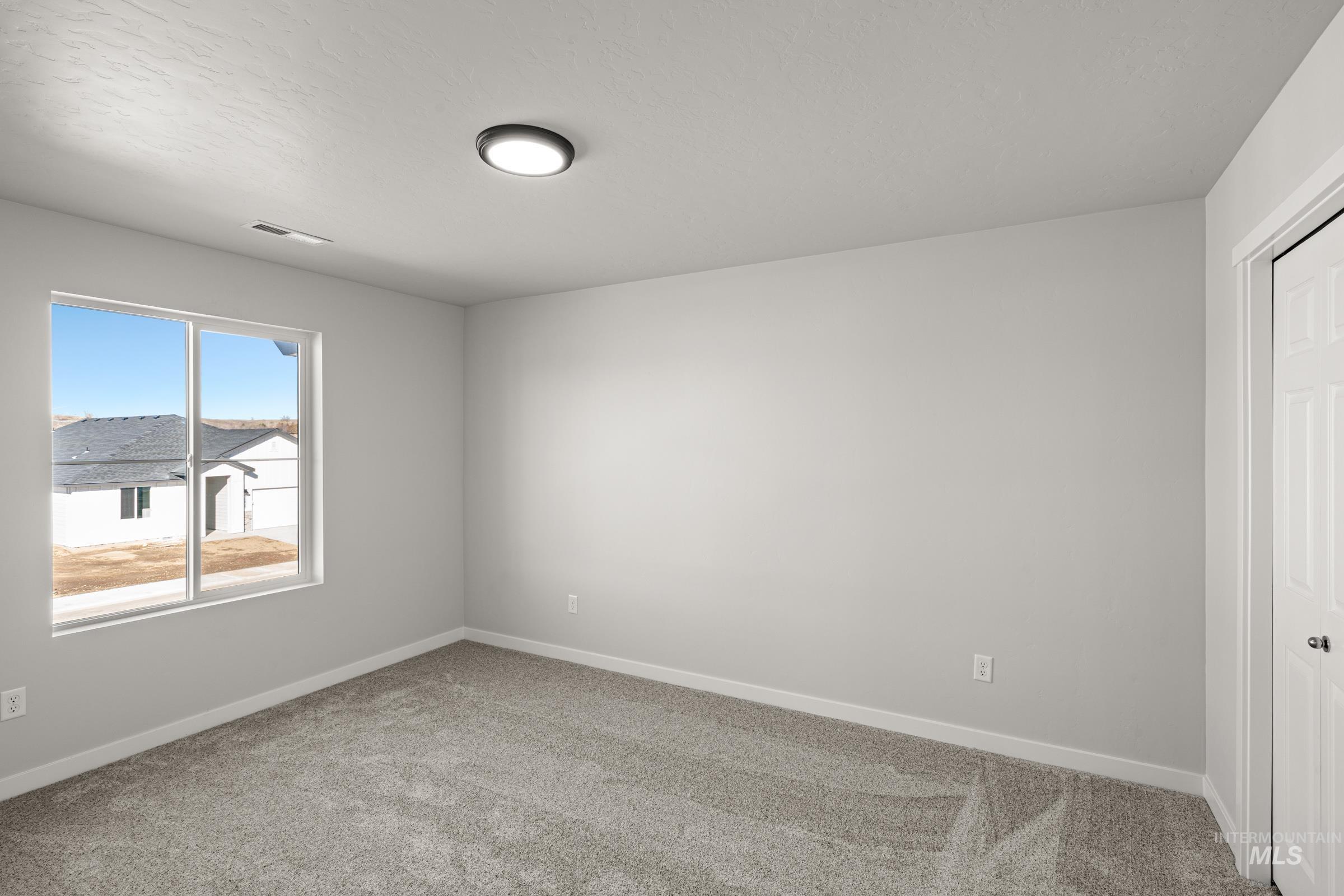 1647 Dyer St Property Photo 17