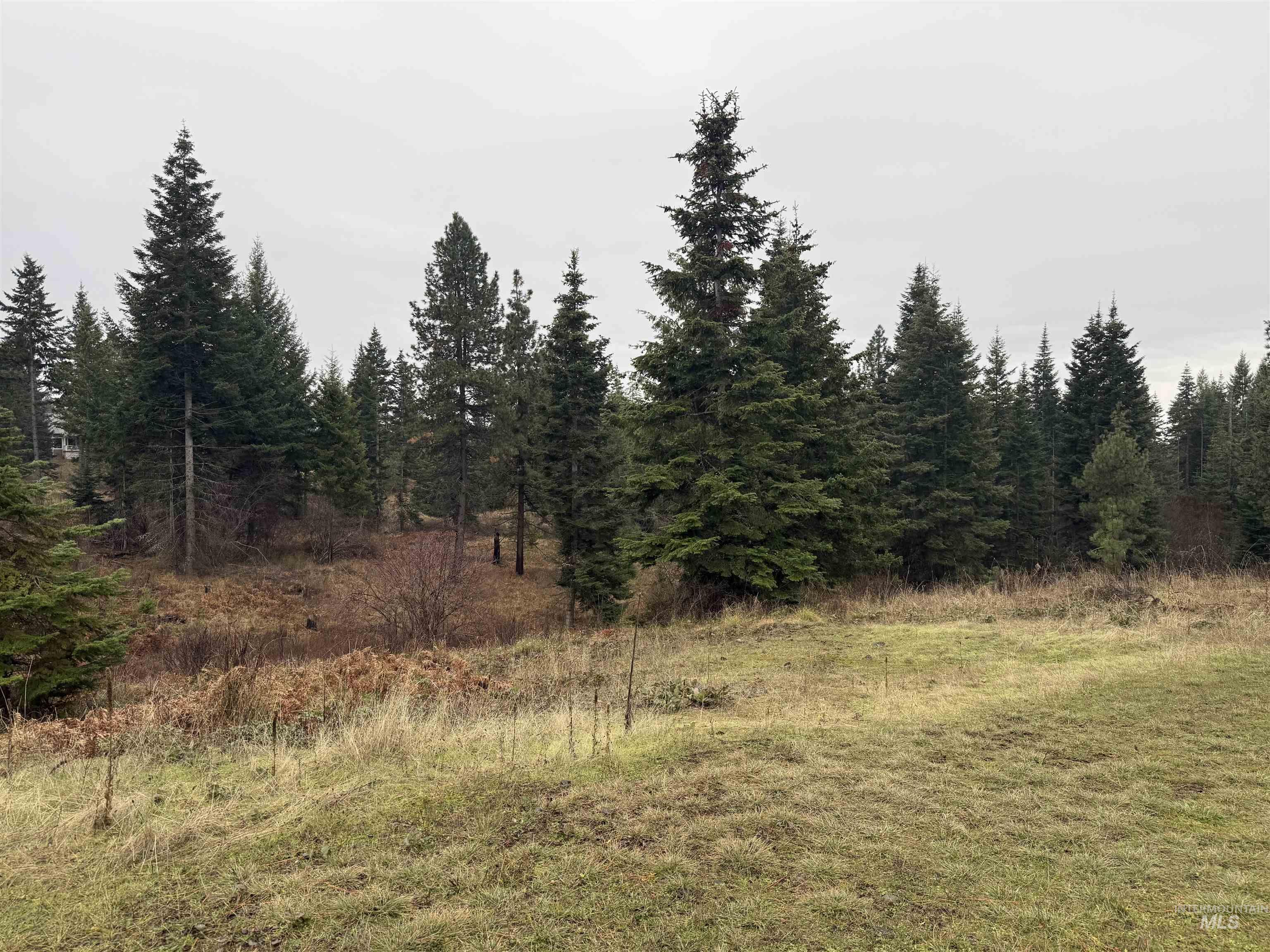 1653 Kidder Ridge Property Photo 39