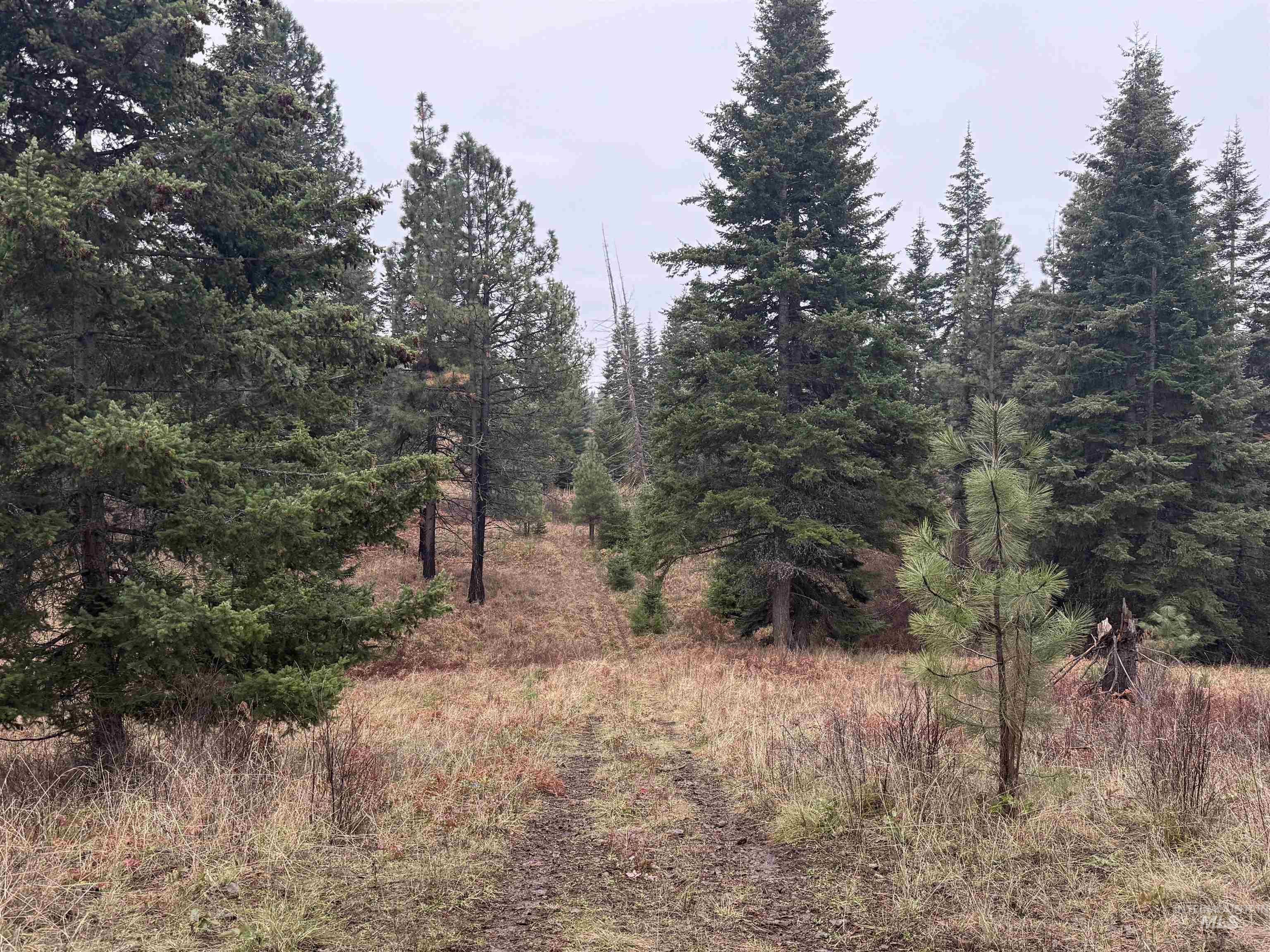 1653 Kidder Ridge Property Photo 40