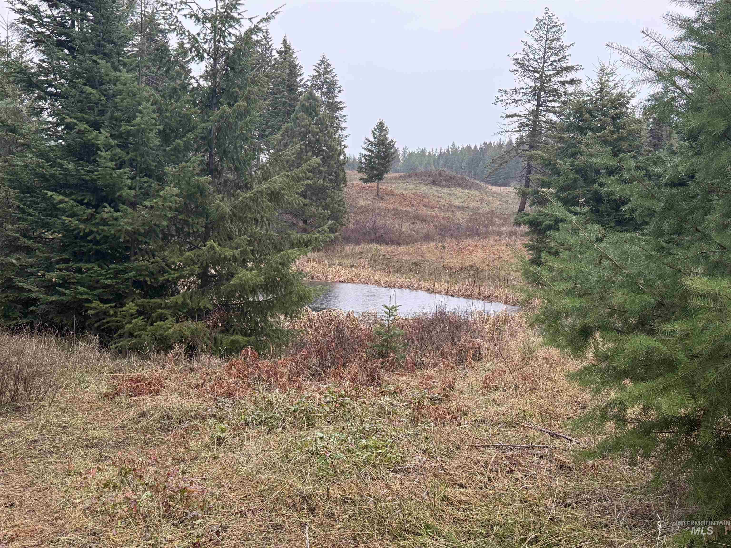 1653 Kidder Ridge Property Photo 43