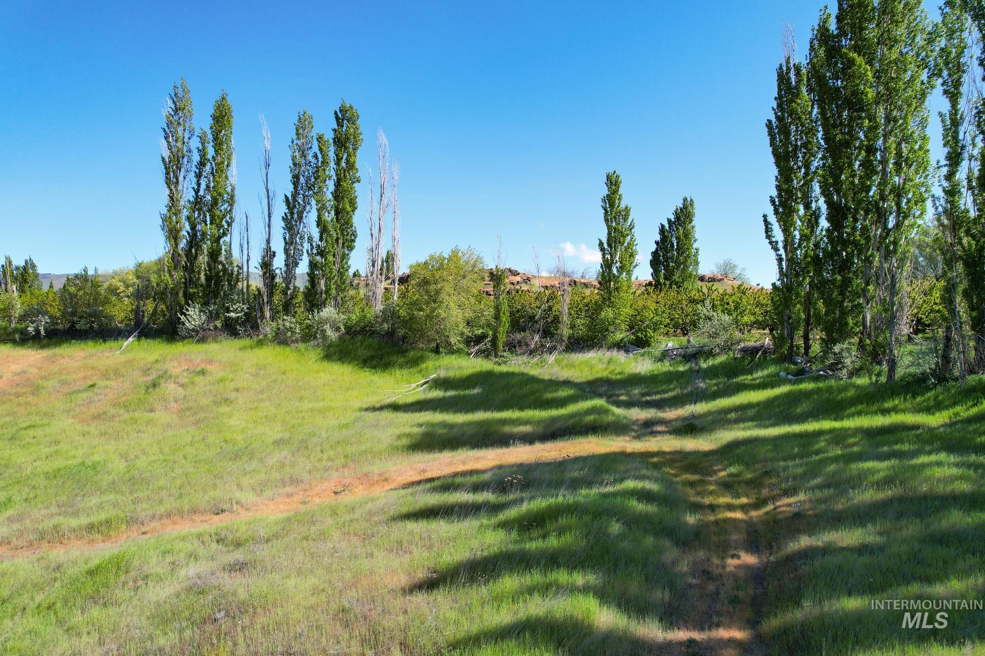 0 Garden Lane Property Photo 16