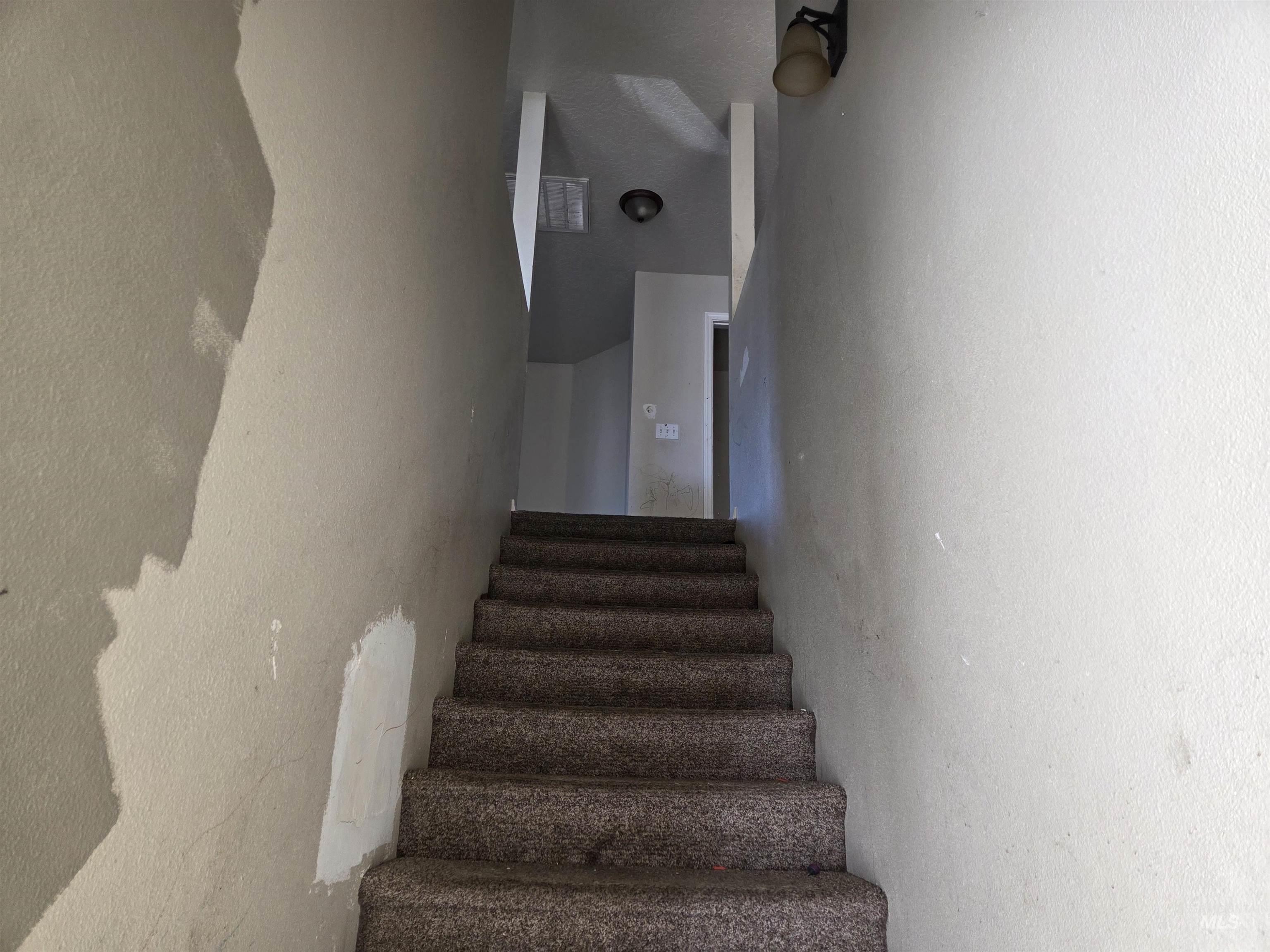 3013 Arcadian Dr Property Photo 7