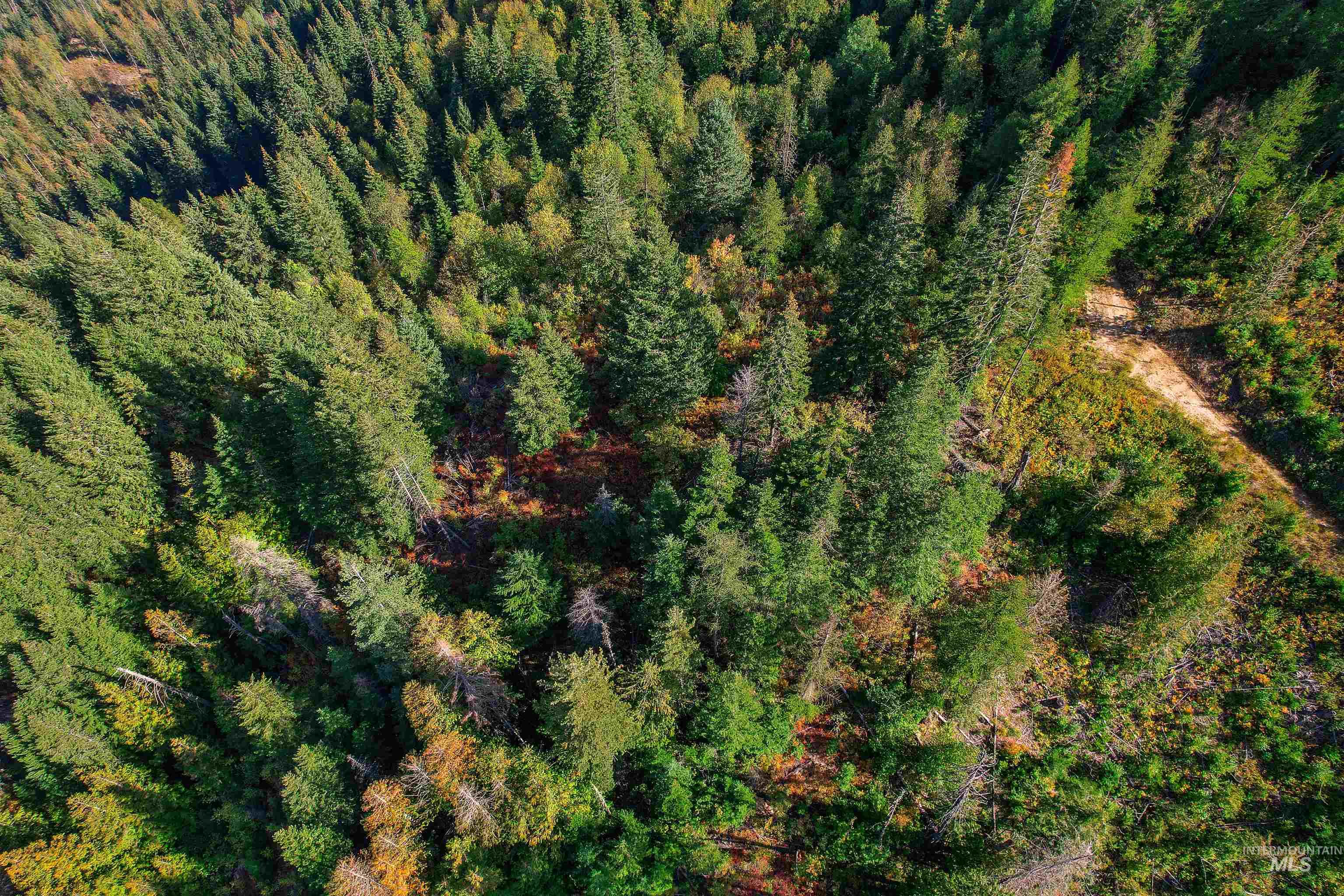 Nka Bodie Canyon Dr. Property Photo 16
