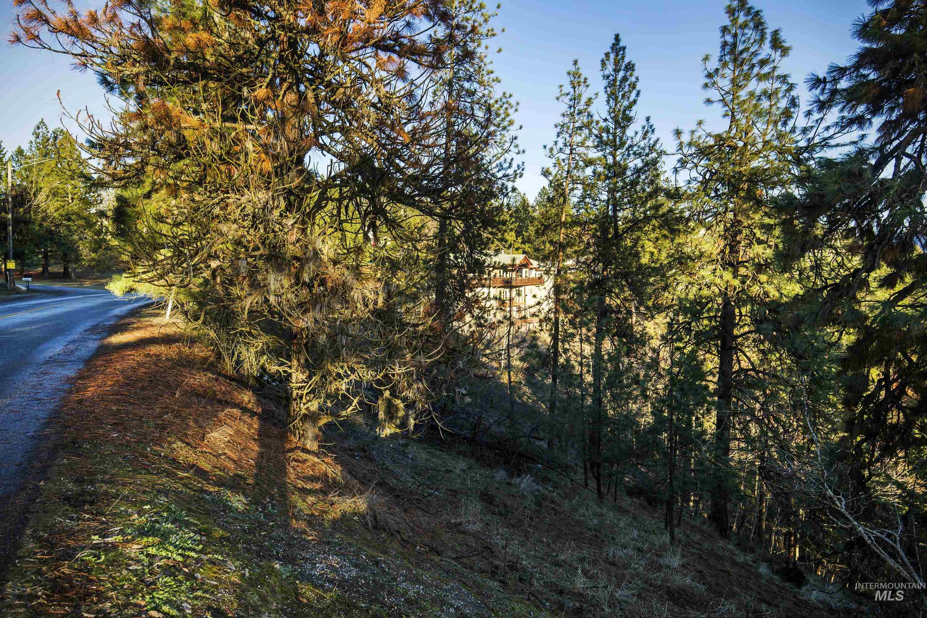 Nna E Fernan Hill Rd. Property Photo 6