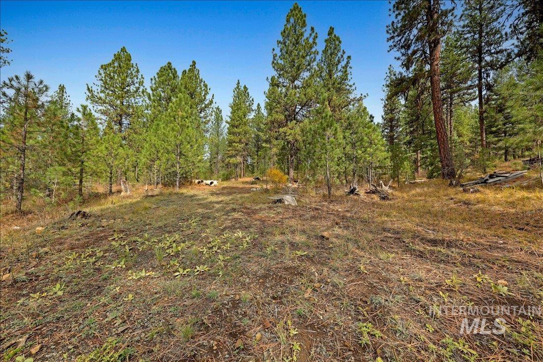 2753 W Pine Drive Property Photo 39