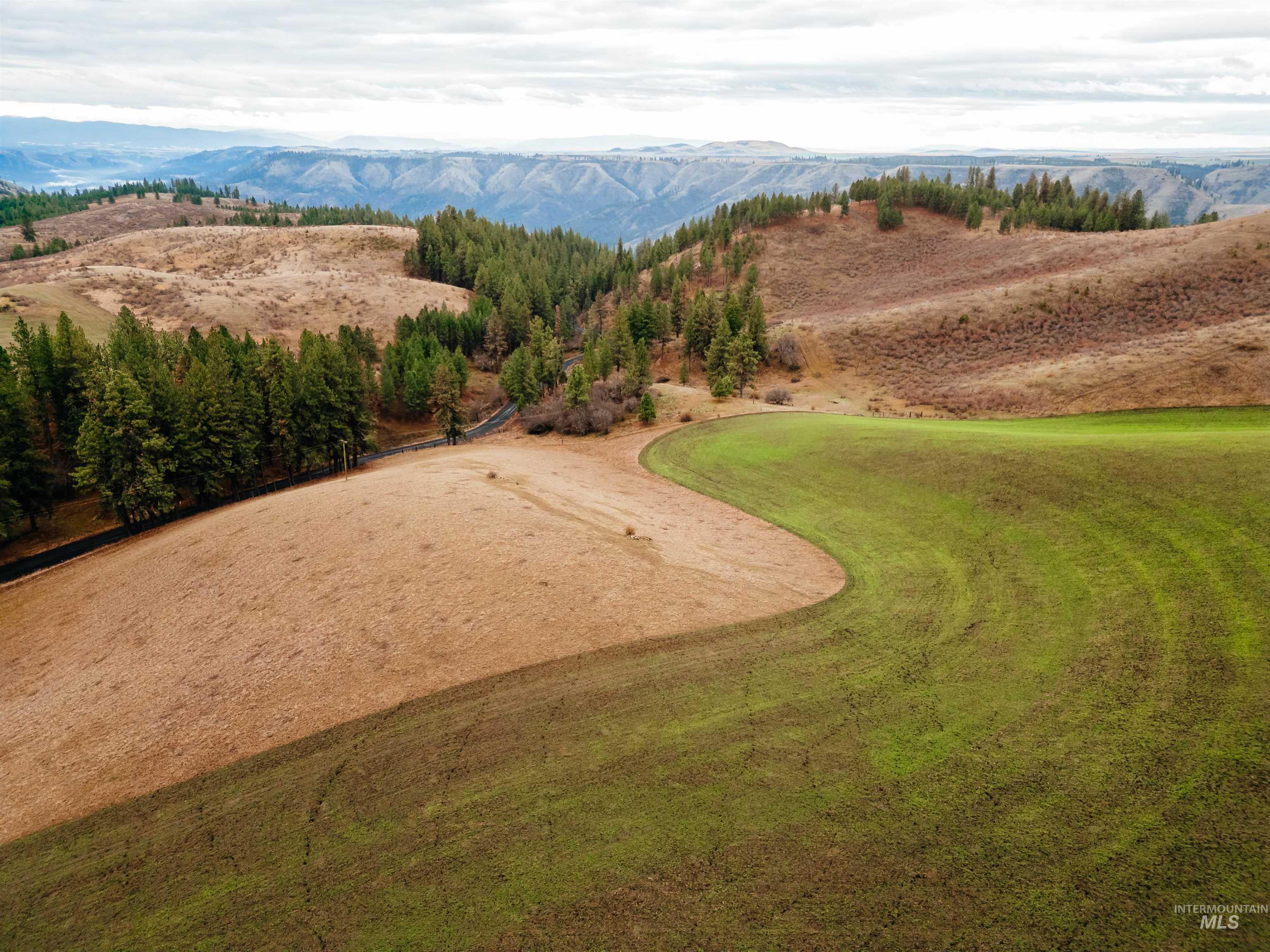 Tbd Pardee Road Property Photo 1