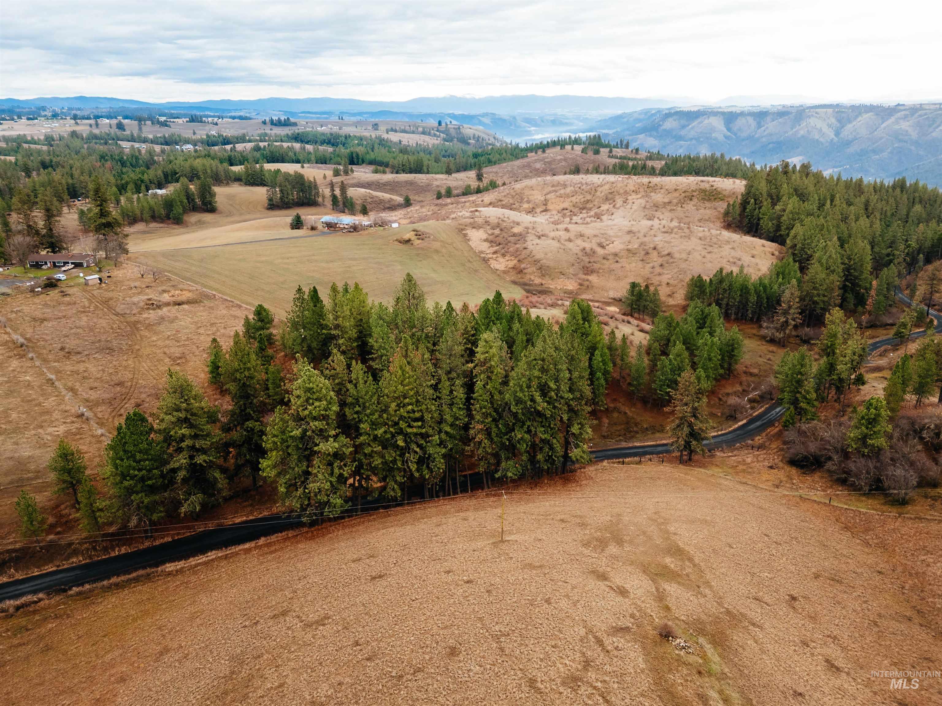 Tbd Pardee Road Property Photo 3
