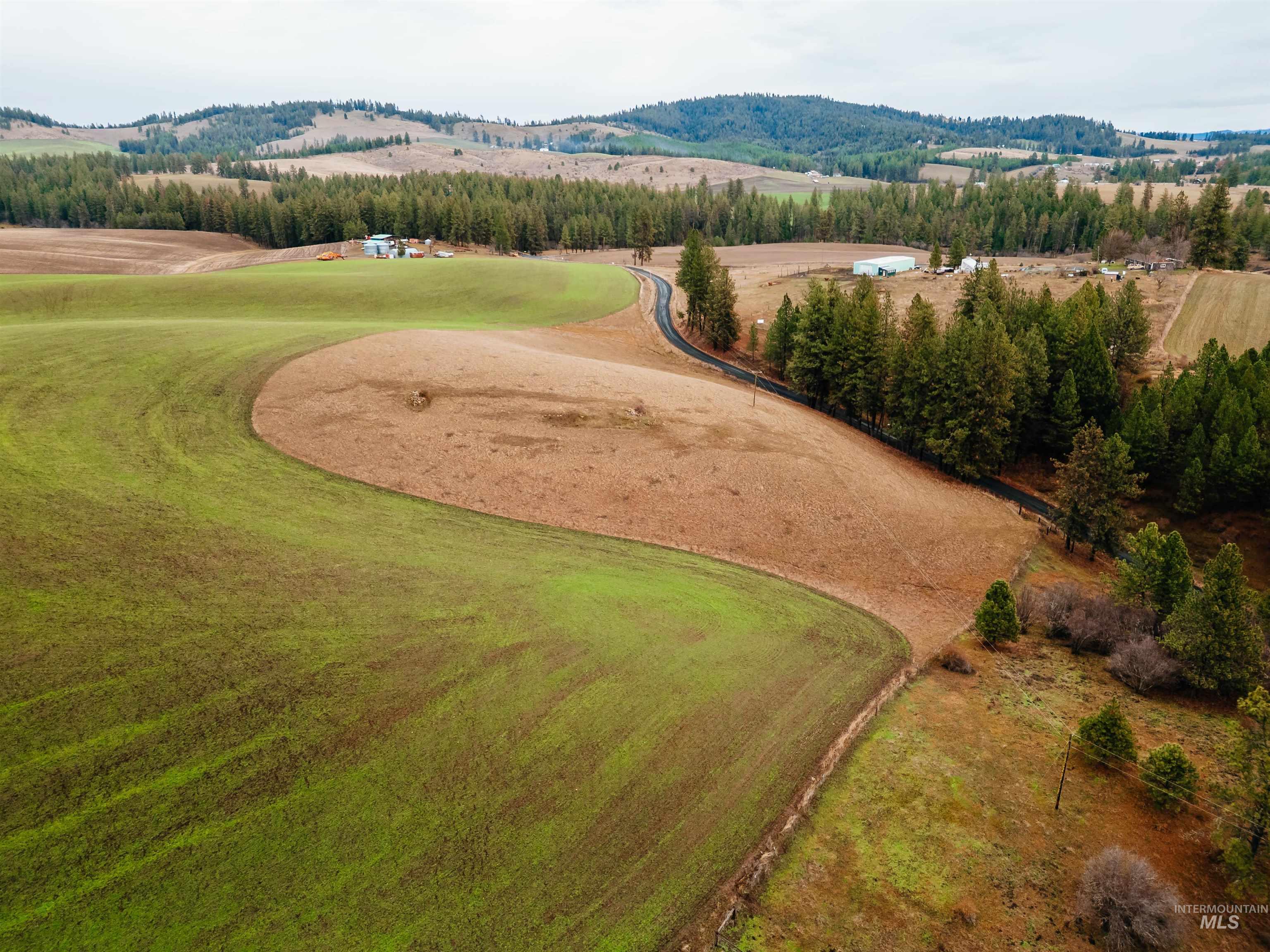 Tbd Pardee Road Property Photo 4