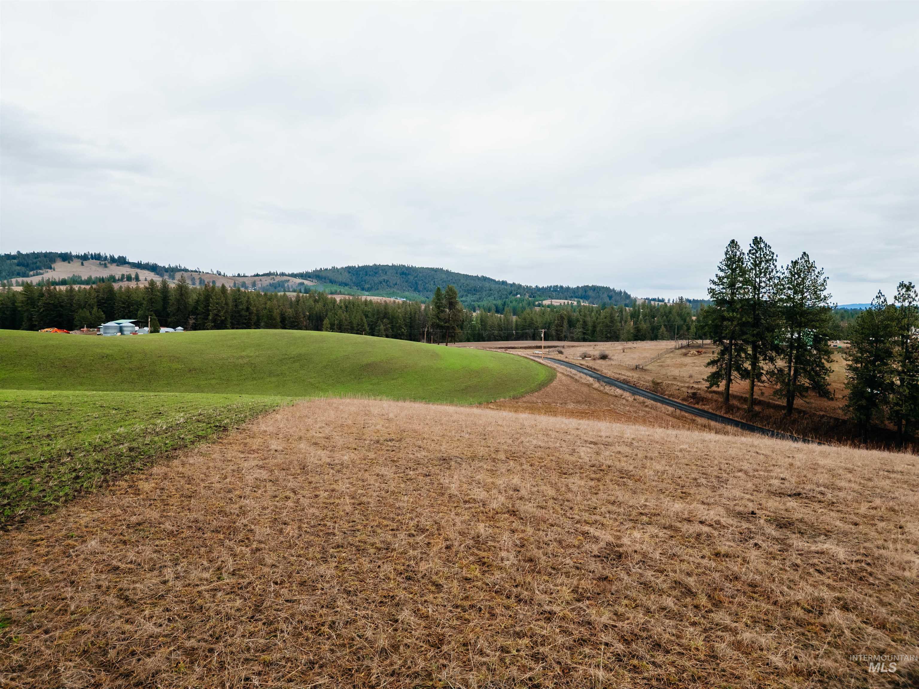 Tbd Pardee Road Property Photo 5