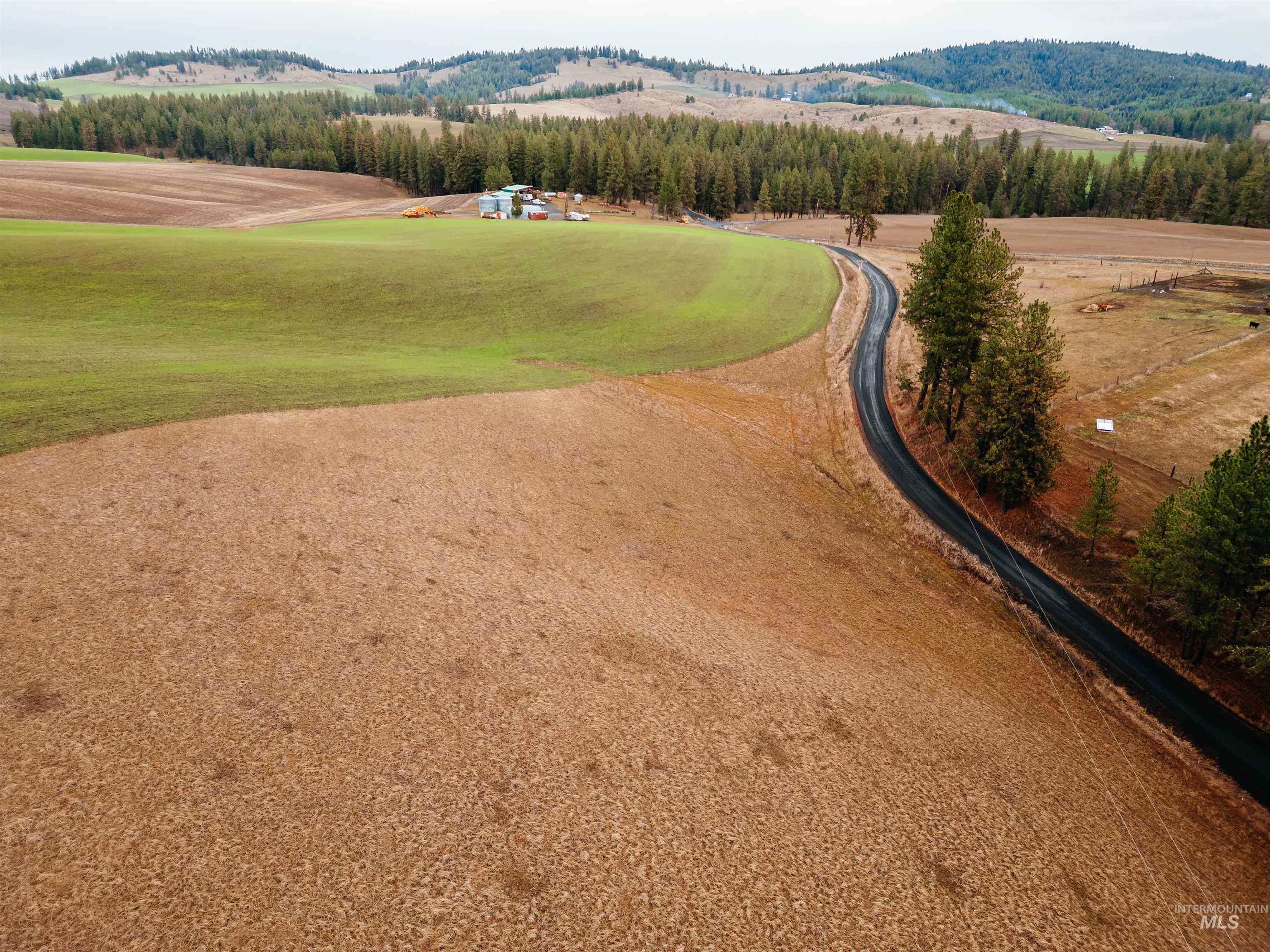 Tbd Pardee Road Property Photo 6