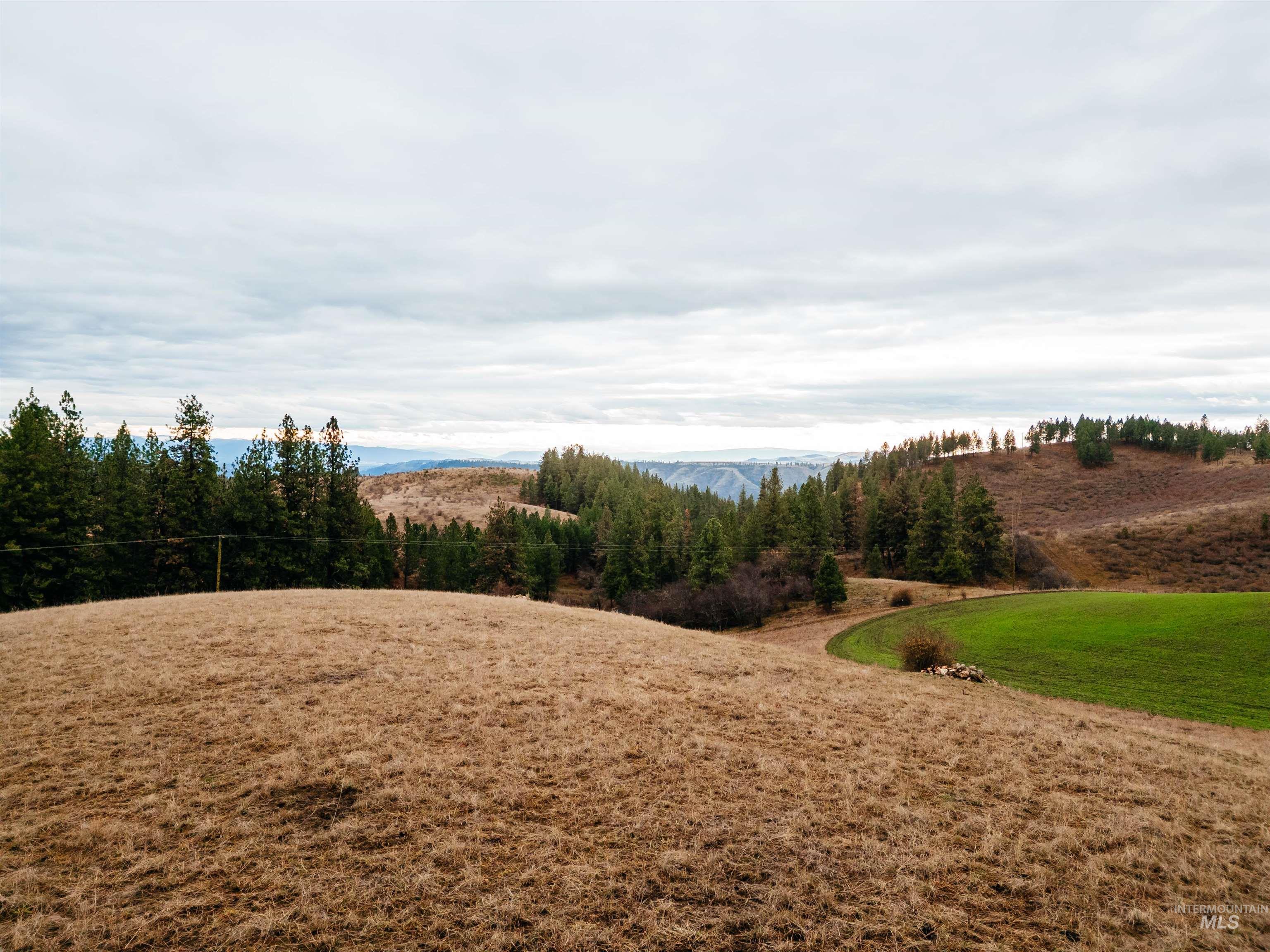 Tbd Pardee Road Property Photo 8