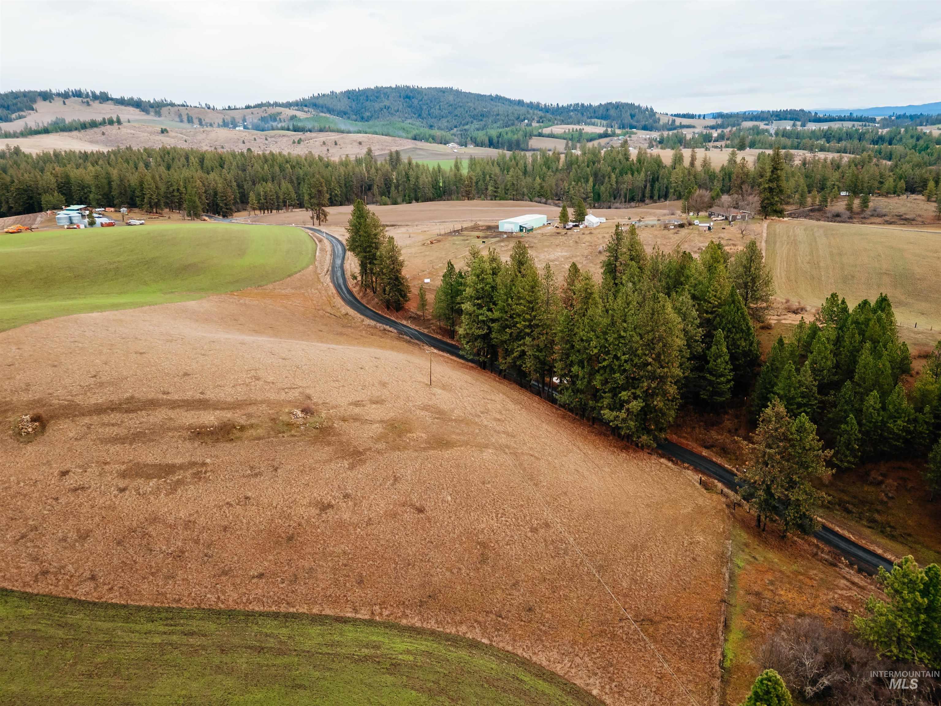 Tbd Pardee Road Property Photo 10