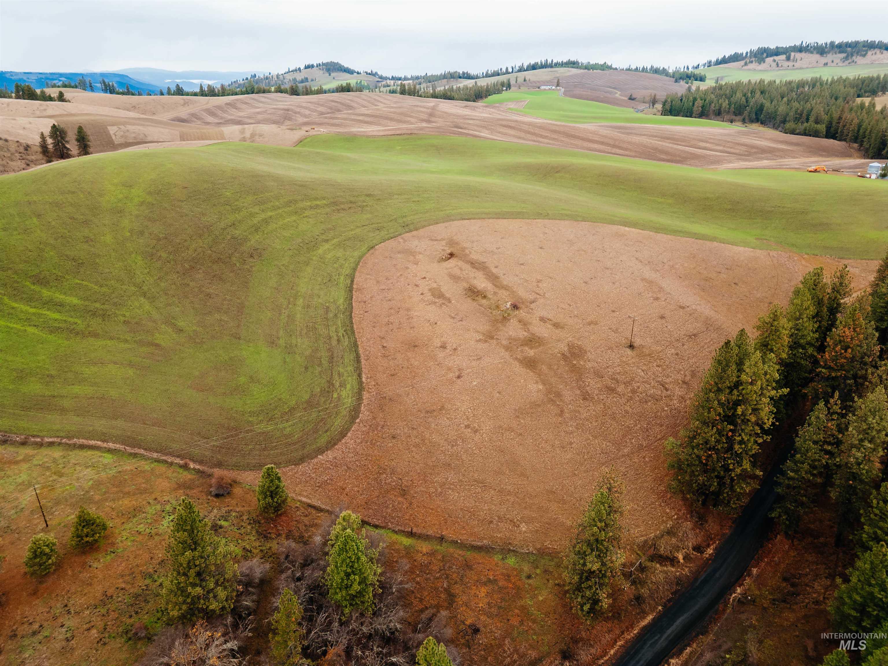 Tbd Pardee Road Property Photo 12
