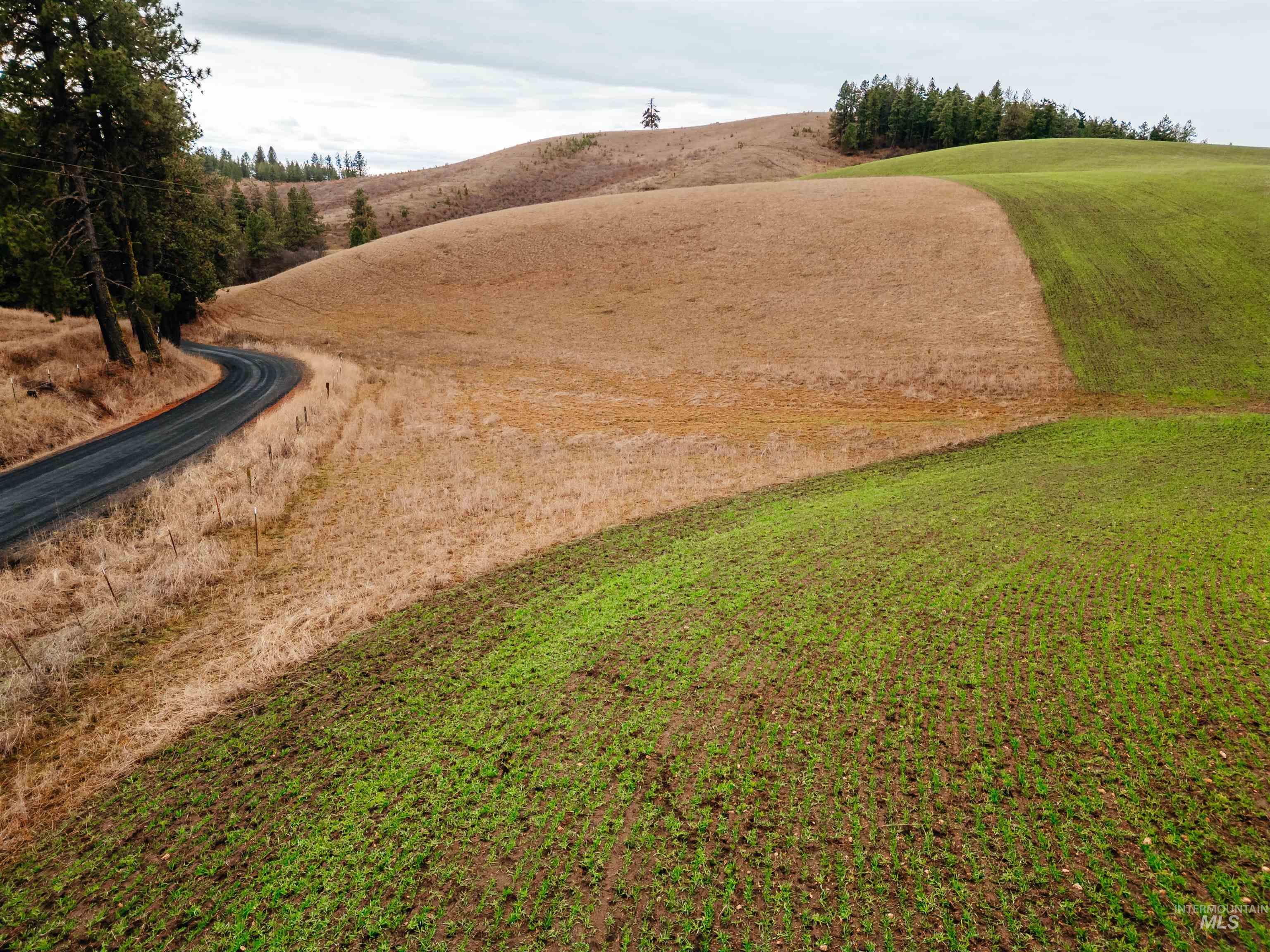 Tbd Pardee Road Property Photo 13