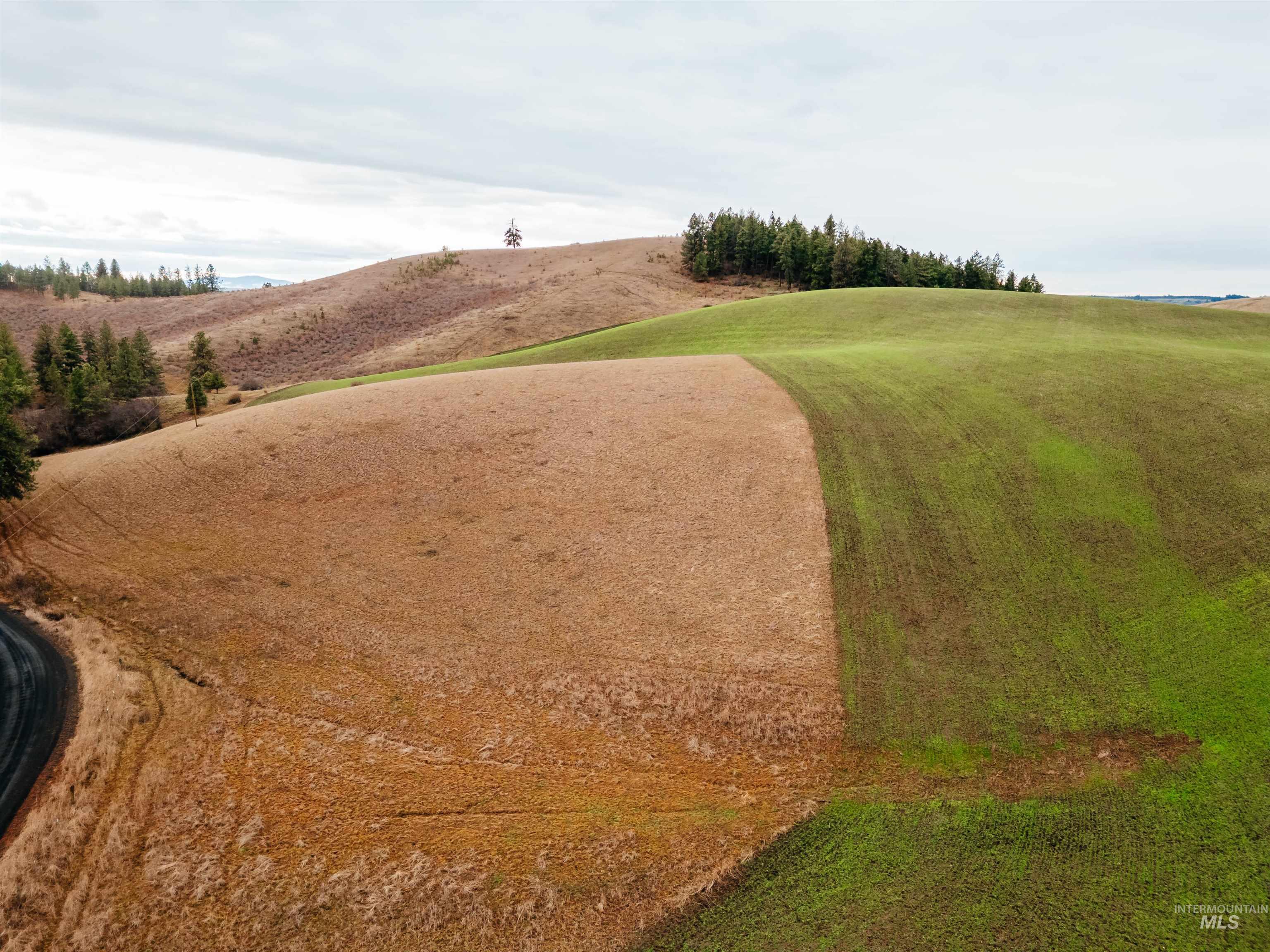 Tbd Pardee Road Property Photo 15