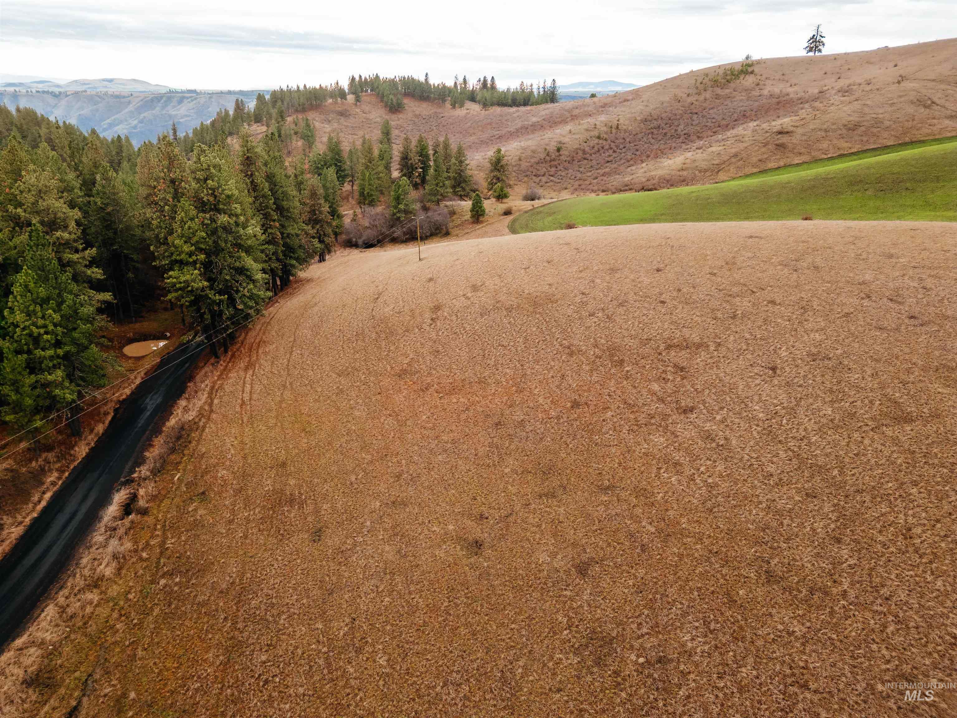 Tbd Pardee Road Property Photo 16