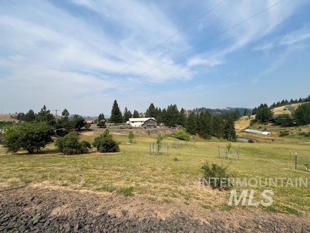 110 Liberty Lane Property Photo 30