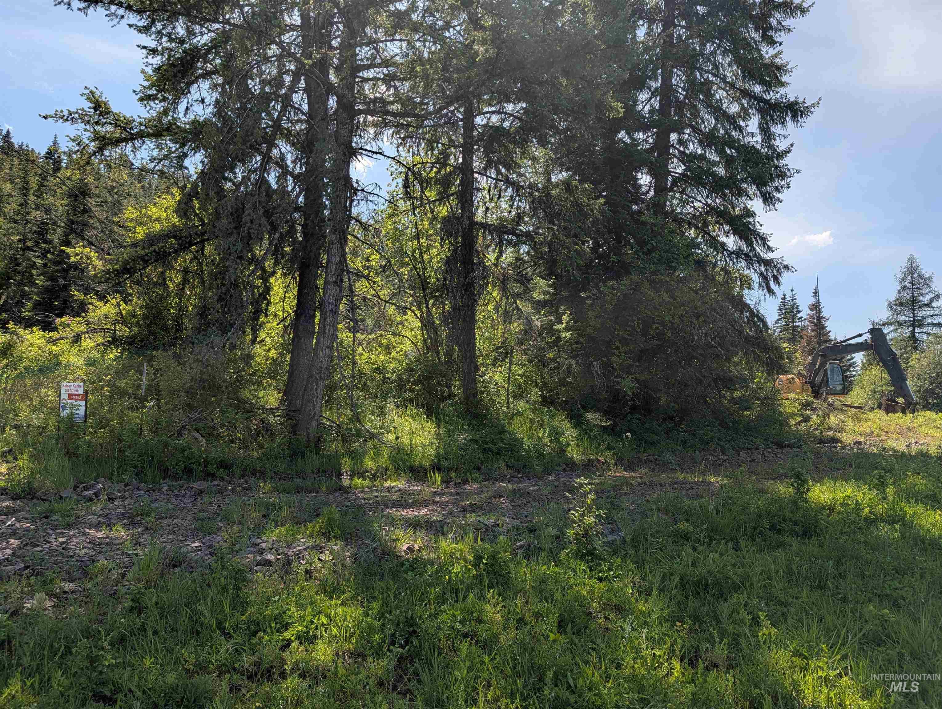472 Mountain Top Drive (#5) Property Photo 5
