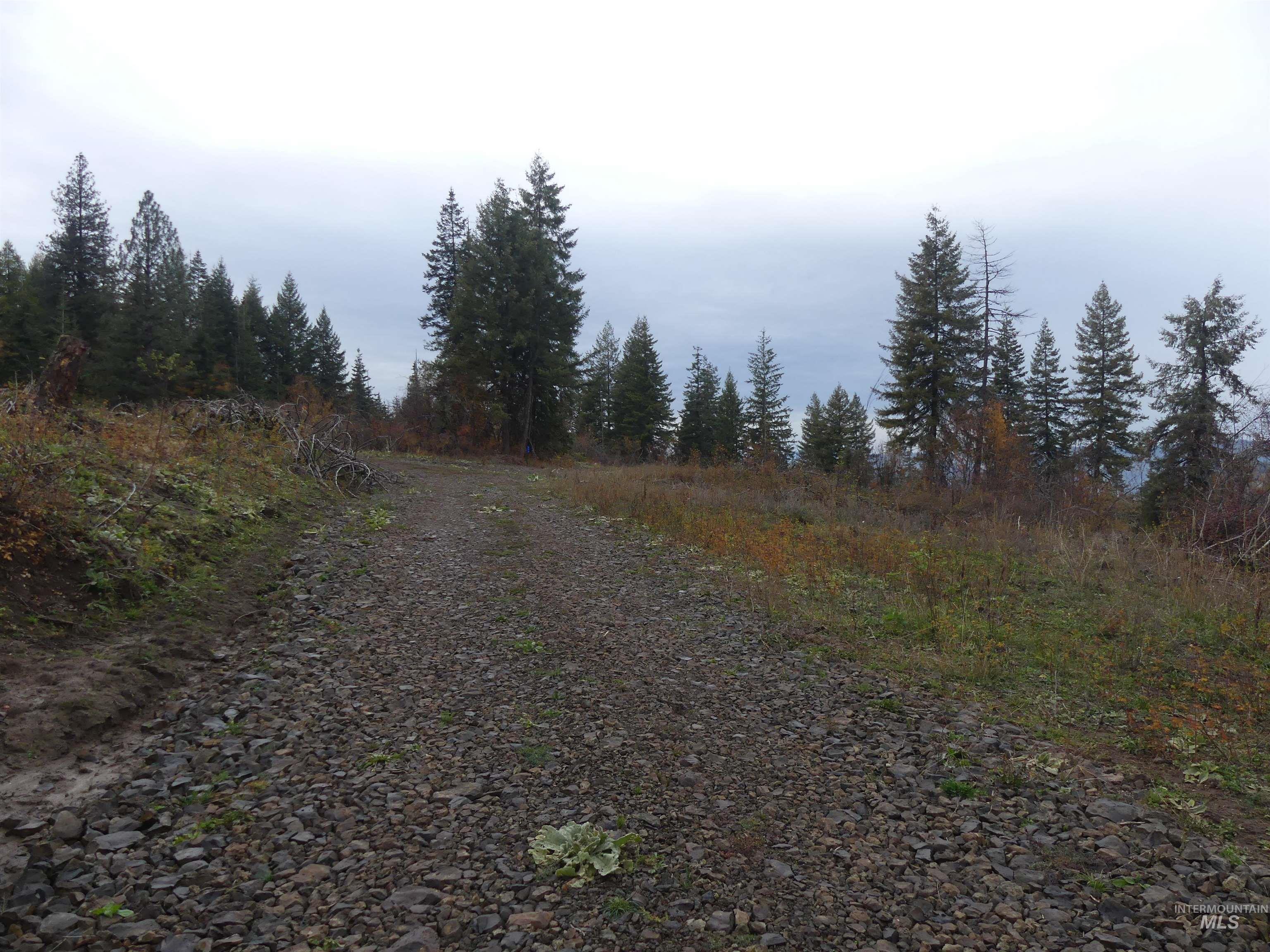 472 Mountain Top Drive (#5) Property Photo 13