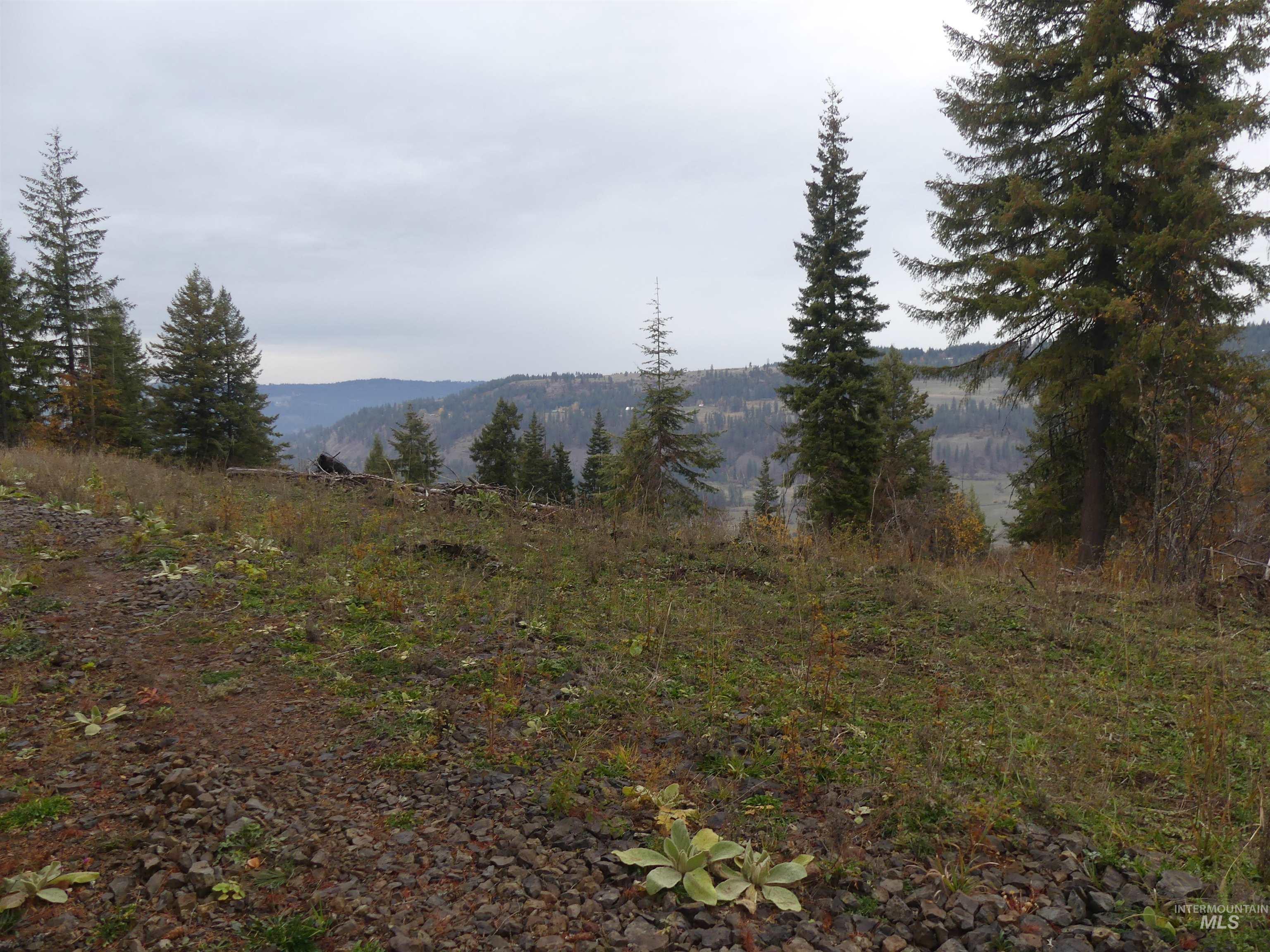 472 Mountain Top Drive (#5) Property Photo 14