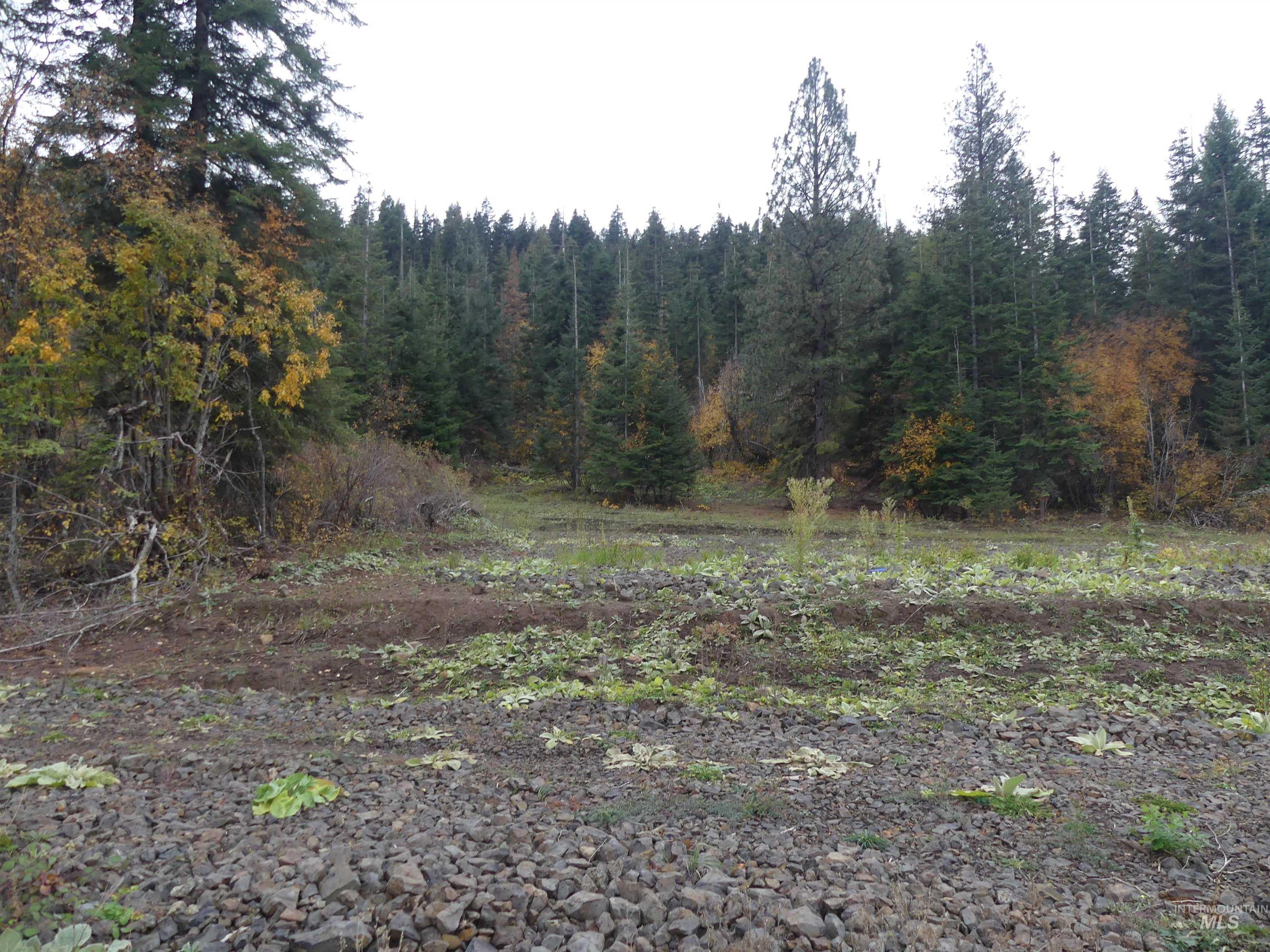 472 Mountain Top Drive (#5) Property Photo 16