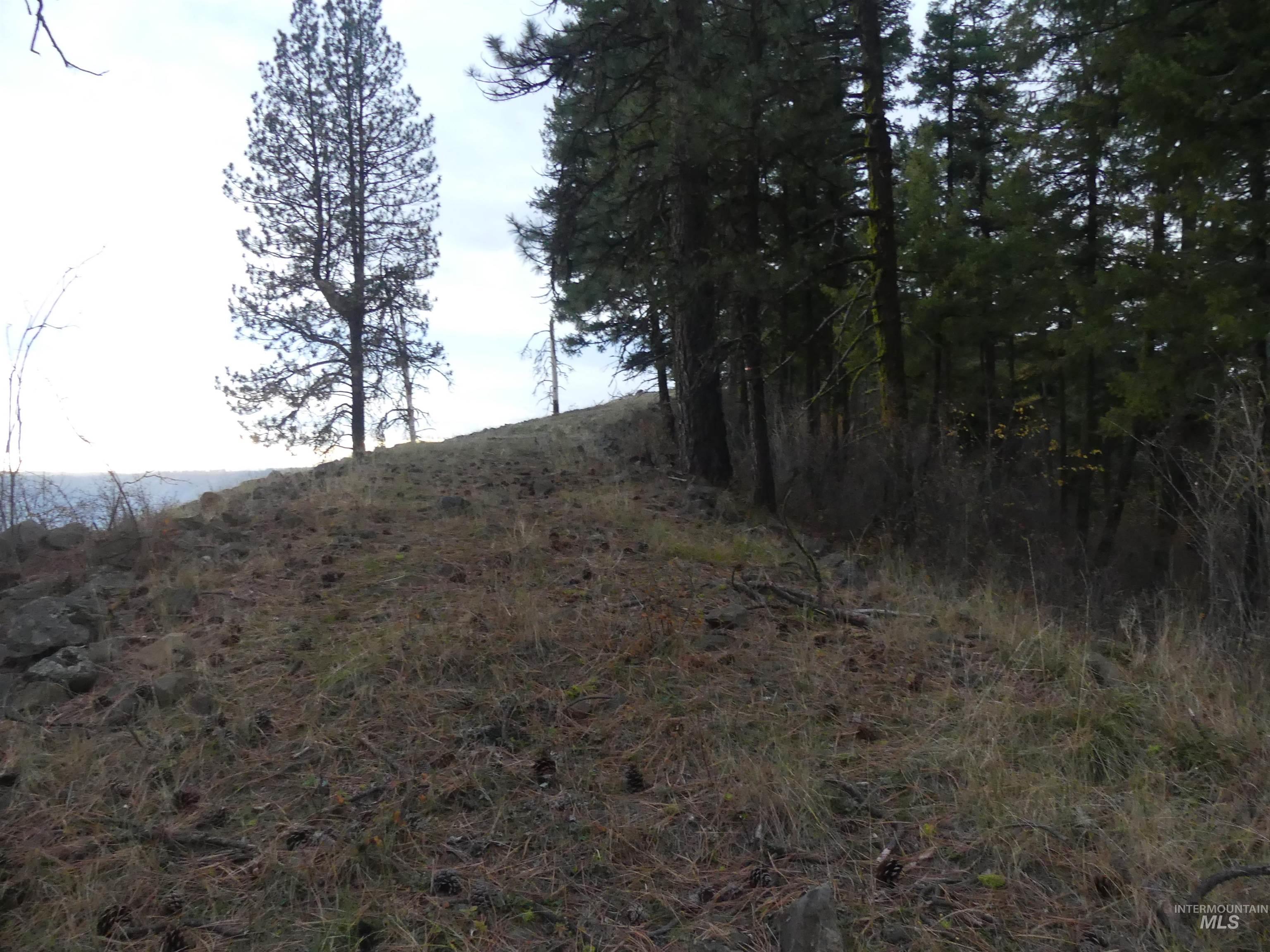 472 Mountain Top Drive (#5) Property Photo 28