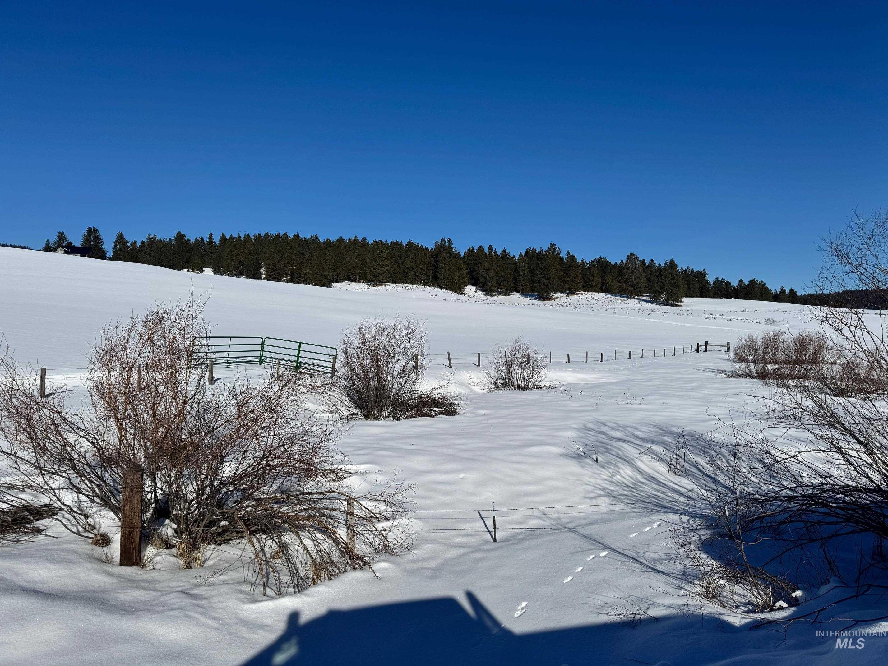 72 Acres High Valley Rd Property Photo 5