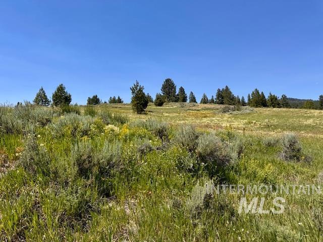 72 Acres High Valley Rd Property Photo 6