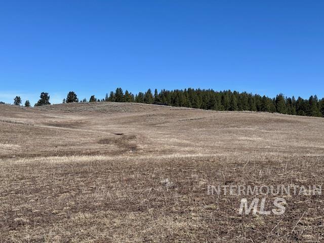 72 Acres High Valley Rd Property Photo 9