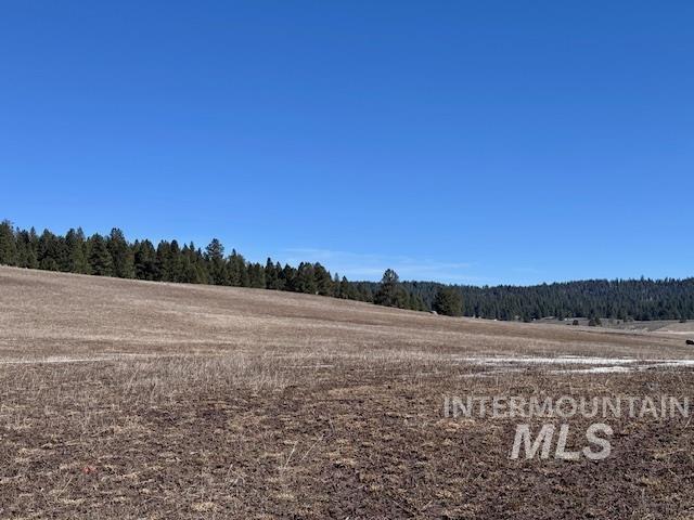 72 Acres High Valley Rd Property Photo 10