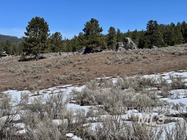 72 Acres High Valley Rd Property Photo 14