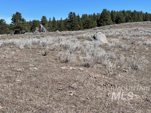 72 Acres High Valley Rd Property Photo 20