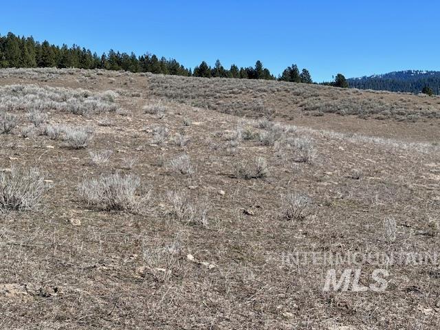 72 Acres High Valley Rd Property Photo 21