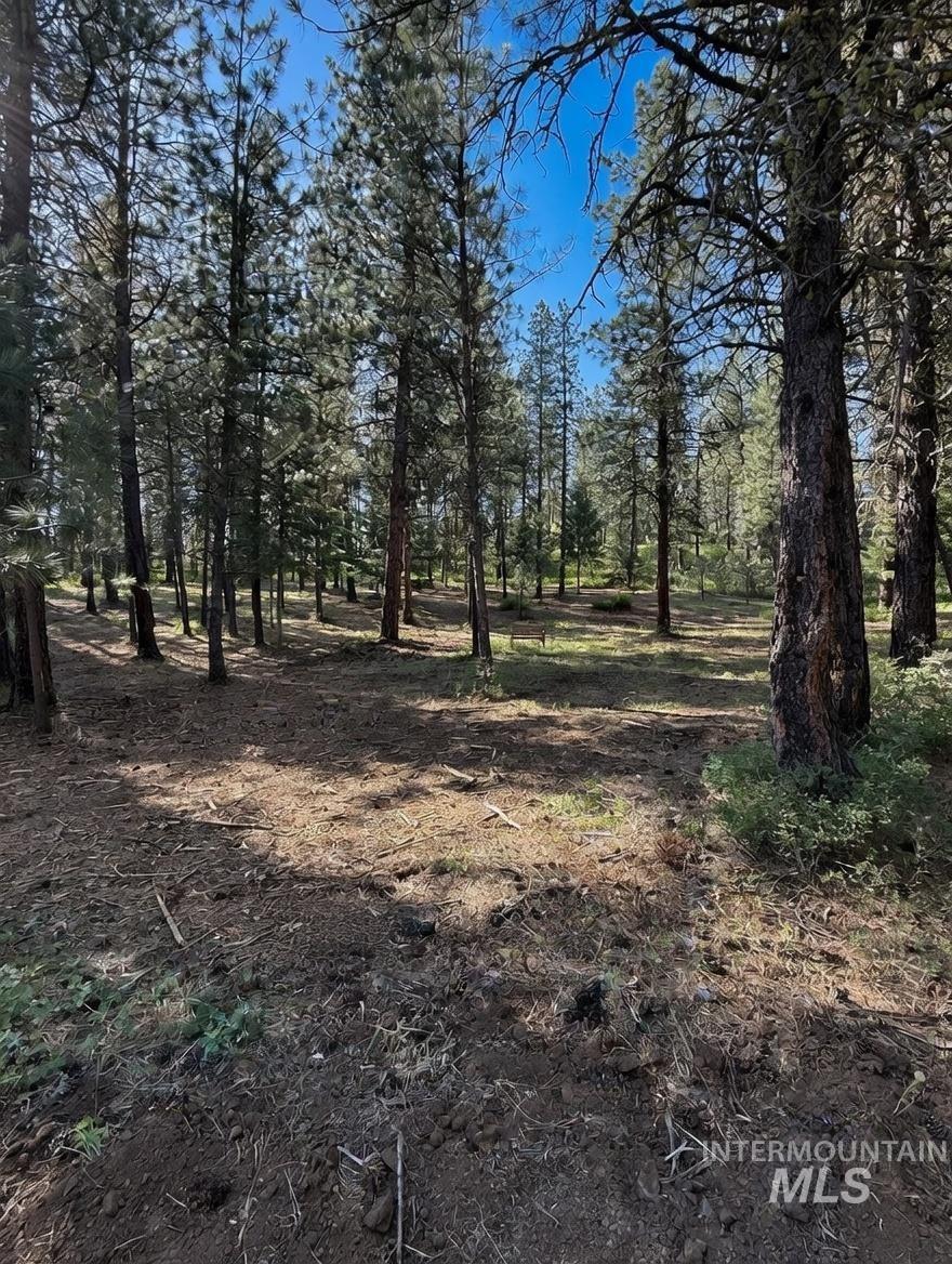 1435 Majestic View Dr Property Photo 9