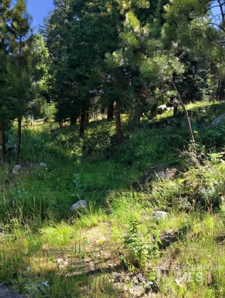 1435 Majestic View Dr Property Photo 11