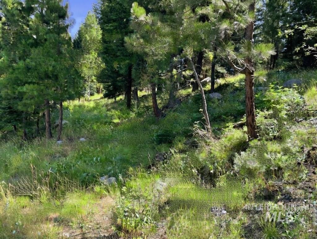 1425 Majestic View Dr Property Photo 2