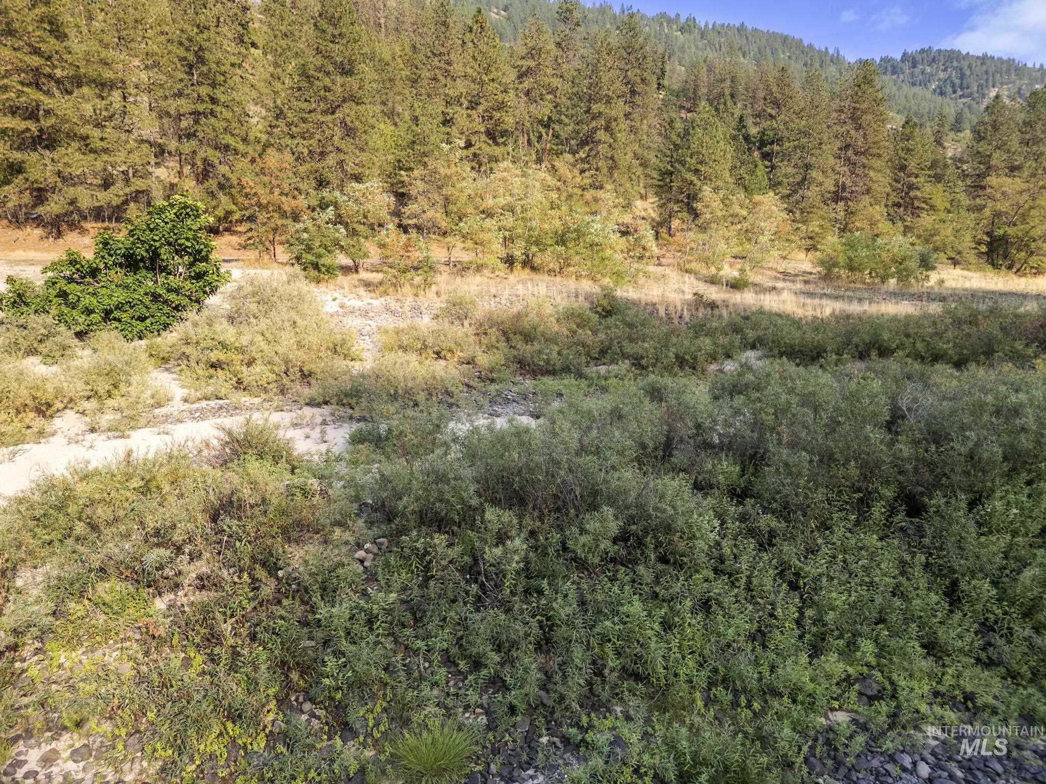 Tbd Greer Road Property Photo 18