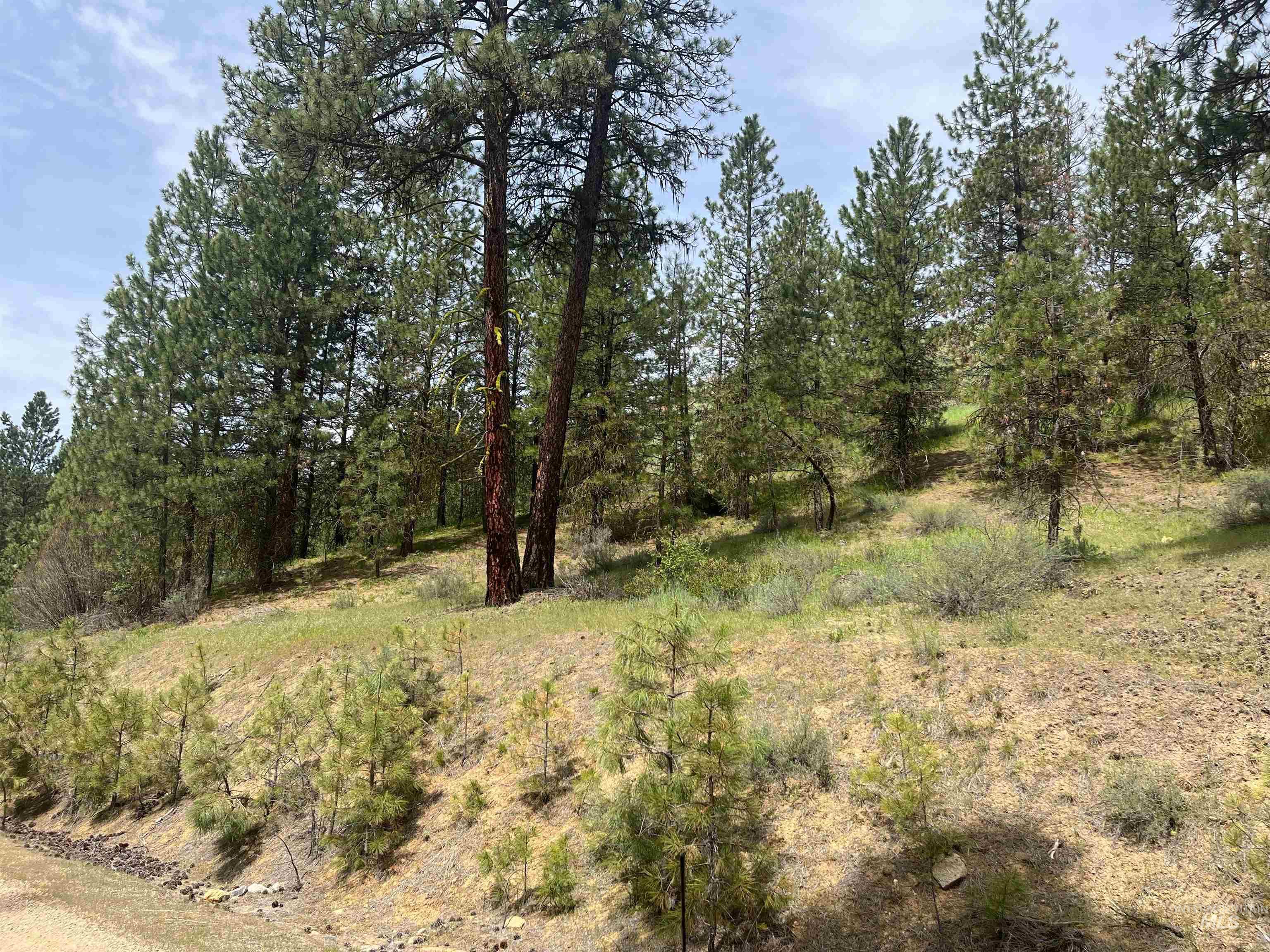 Napias Lot 21 Property Photo 6