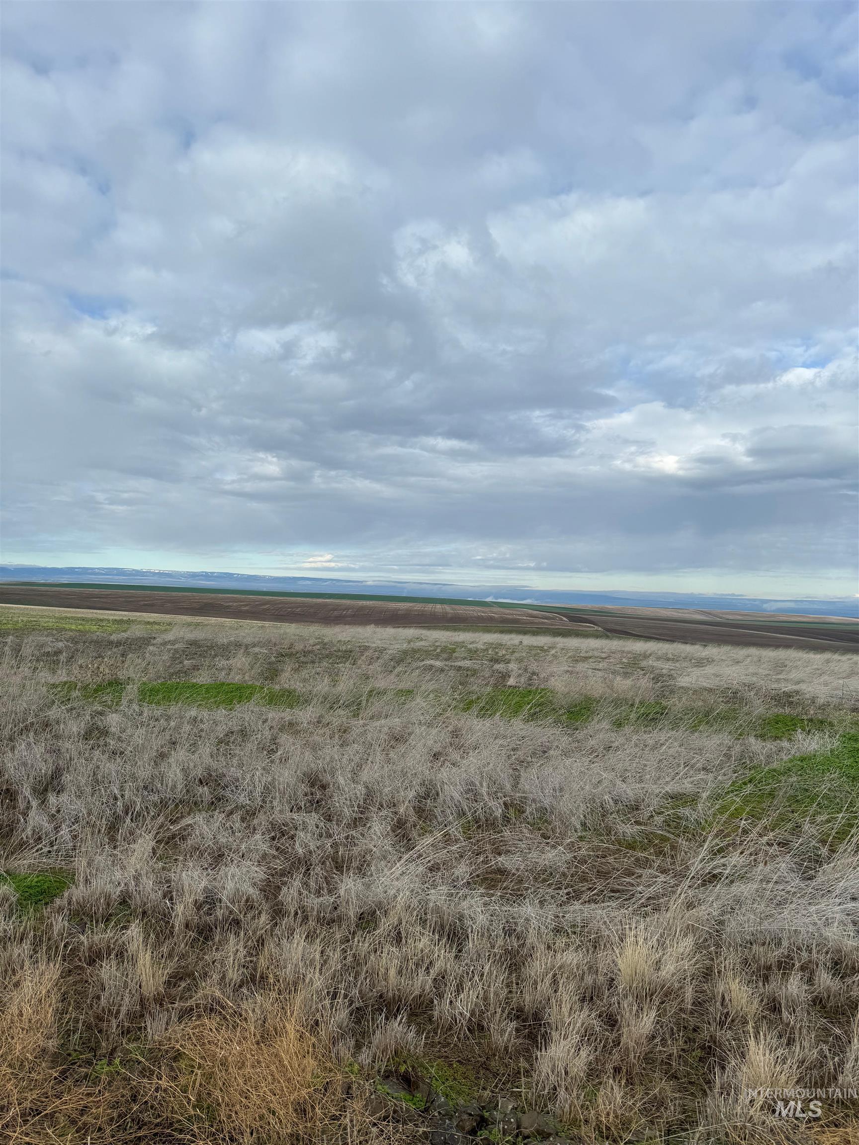 Lot 11a Tbd Pheasant Loop Rd Property Photo 2