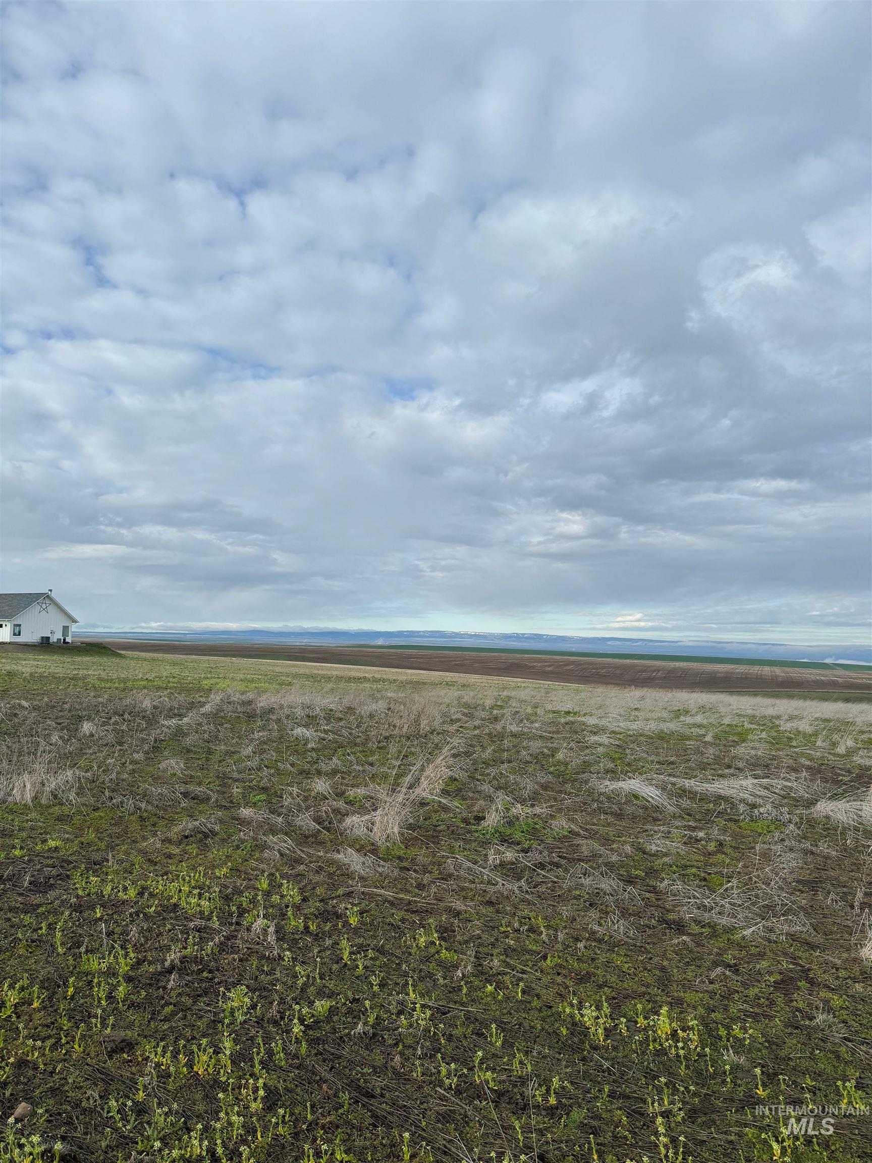 Lot 11a Tbd Pheasant Loop Rd Property Photo 3